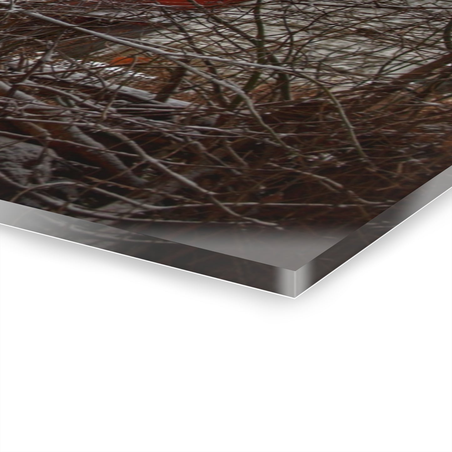 U R There Photography Sandhill Road Hidden Red II Rustic Farmhouse Acrylic Wall Print