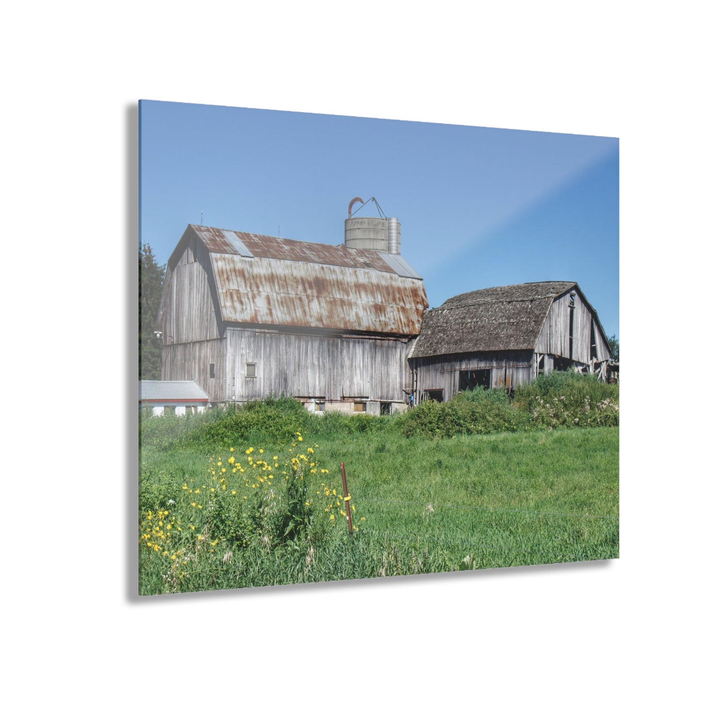 U R There Photography Rusted and Grey on Dodge Road Rustic Farmhouse Acrylic Wall Print