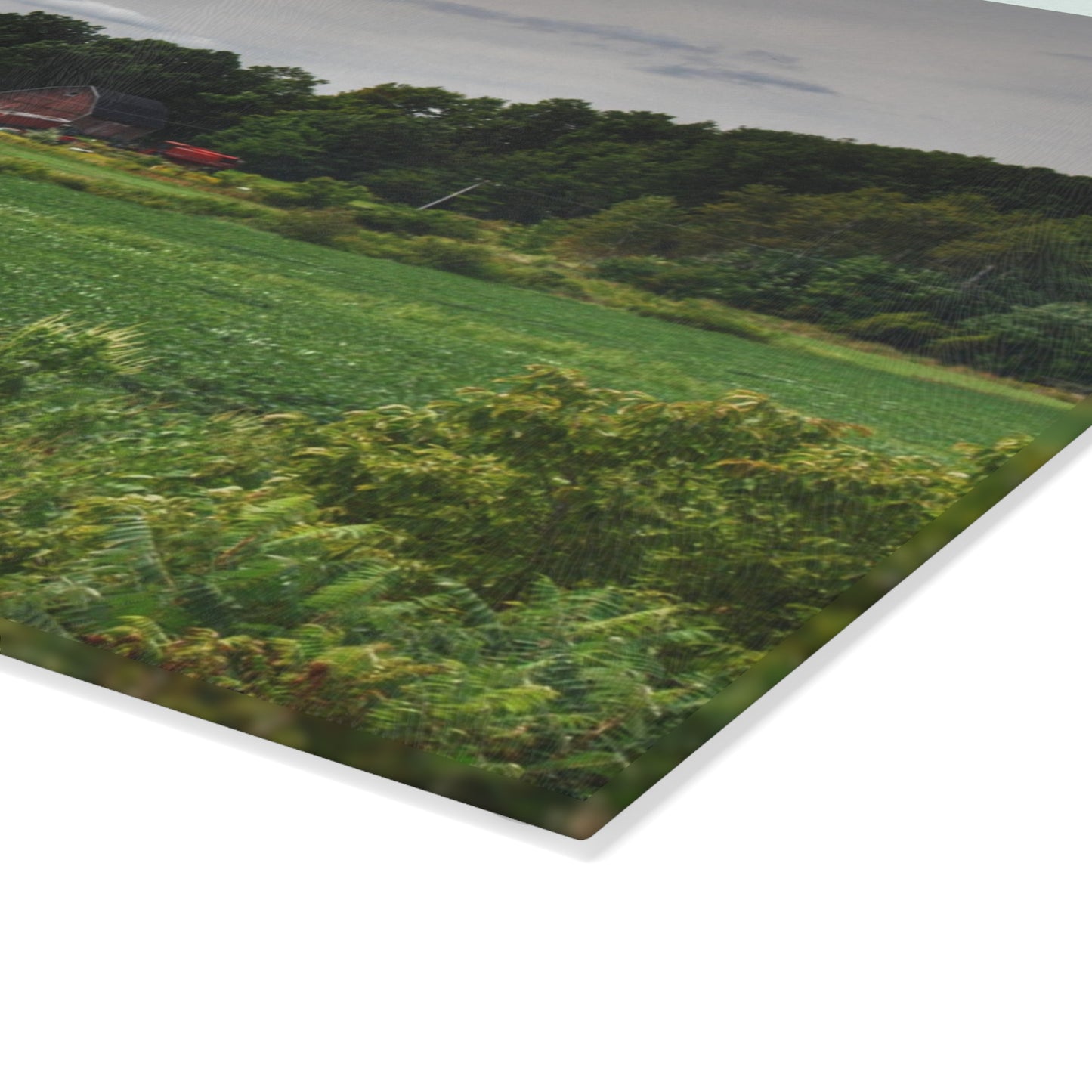 U R There Photography Across the Field in Silverwood Rustic Farmhouse Tempered-Glass Cutting Board