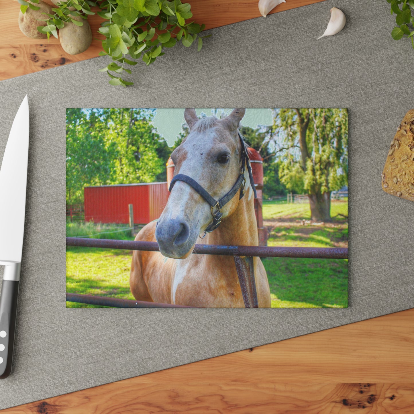 U R There Photography White Cream Mare of Hollenbeck Rustic Farmhouse Tempered-Glass Cutting Board