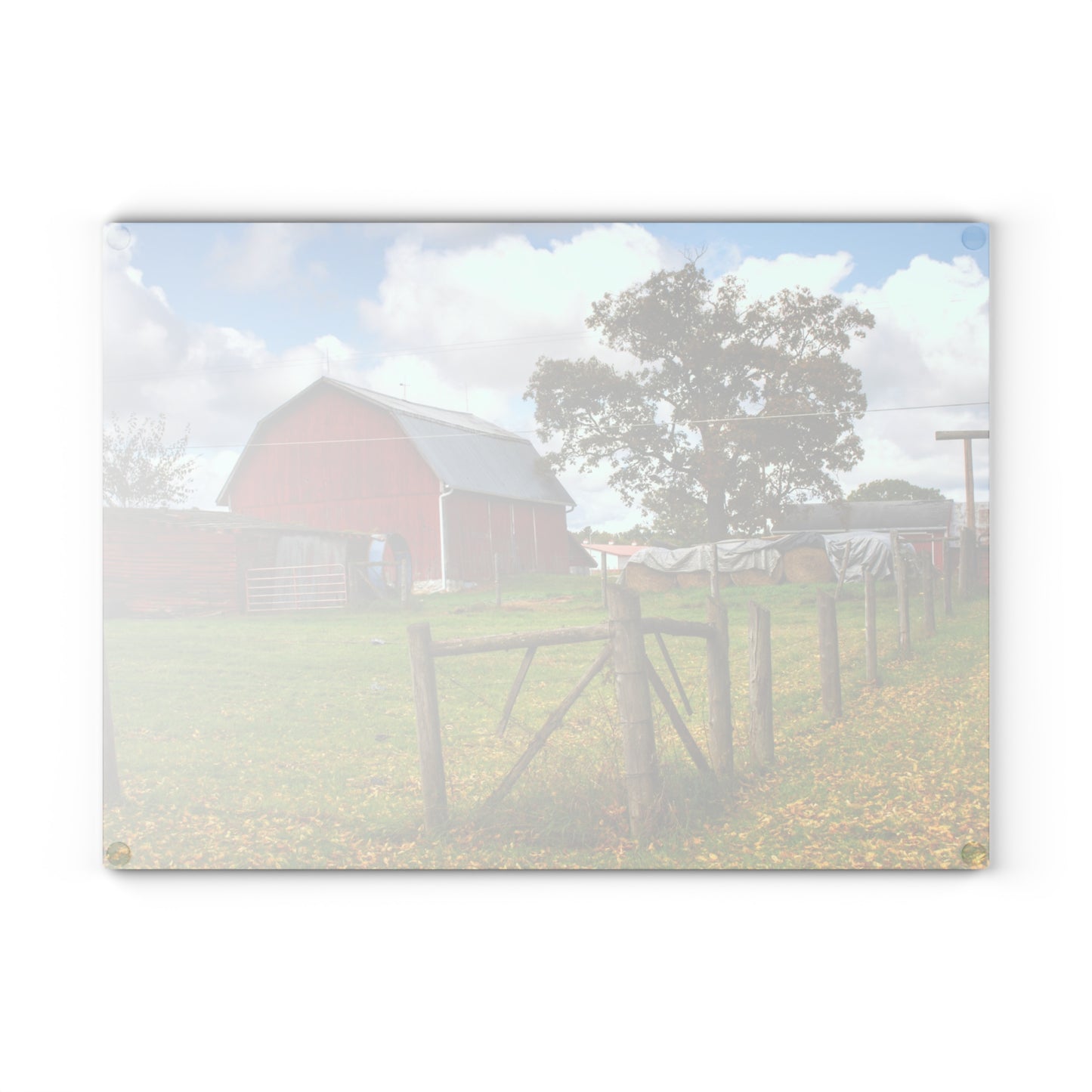 U R There Photography Beyond the Fence on Frances Road Rustic Farmhouse Tempered-Glass Cutting Board