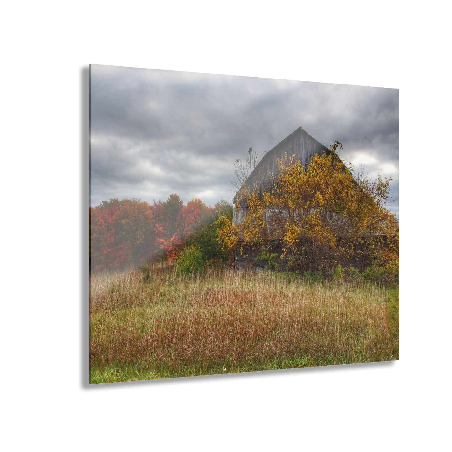 U R There Photography Church Road Grey III Rustic Farmhouse Acrylic Wall Print