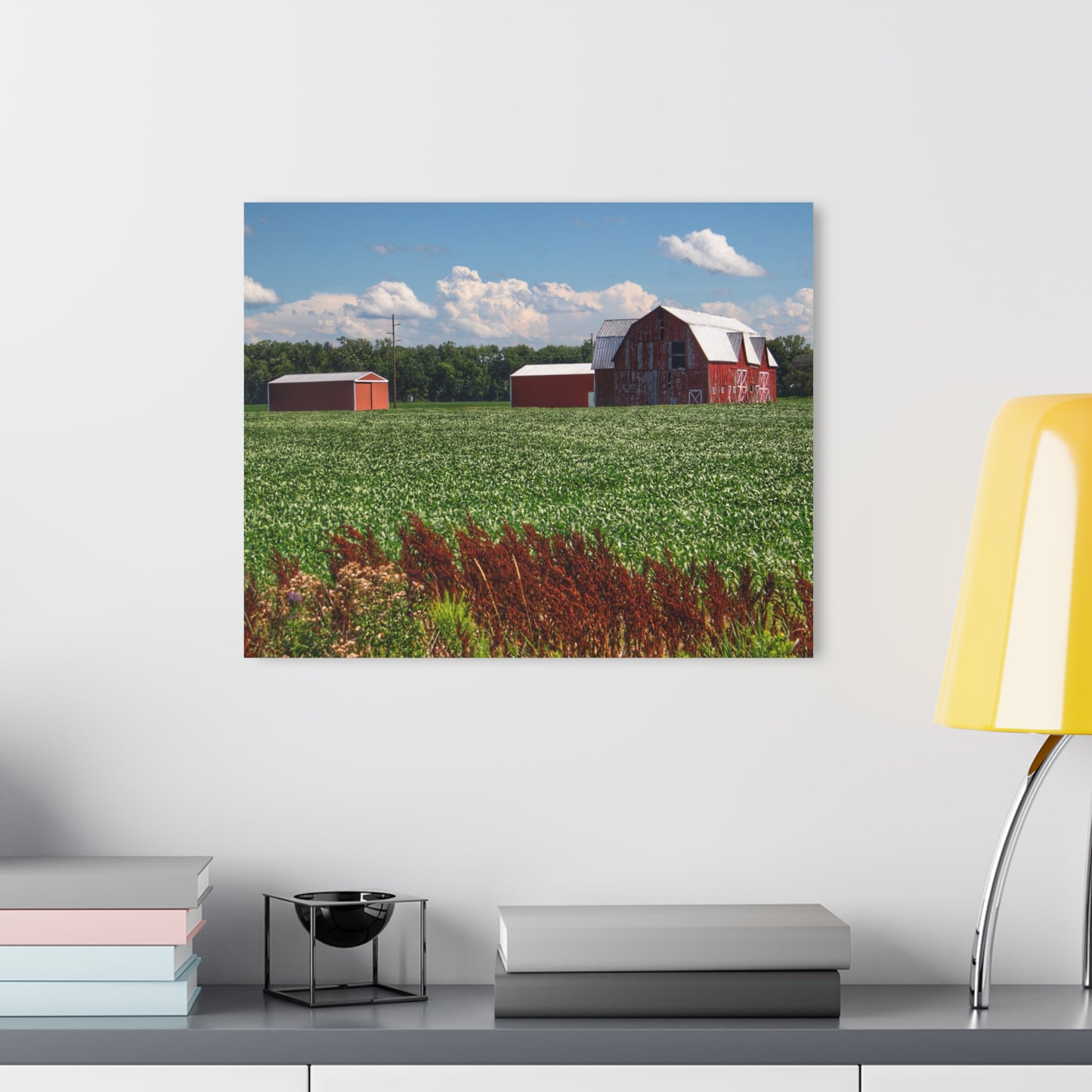 U R There Photography South Gera Road Red Rustic Farmhouse Acrylic Wall Print
