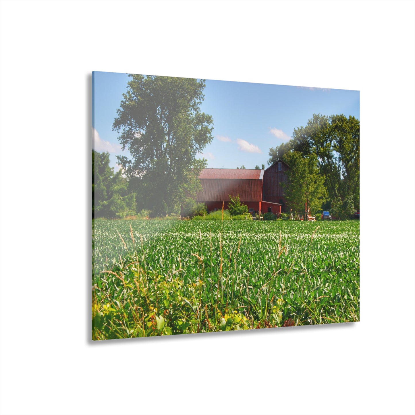 U R There Photography Canada Road Hidden Red Rustic Farmhouse Acrylic Wall Print