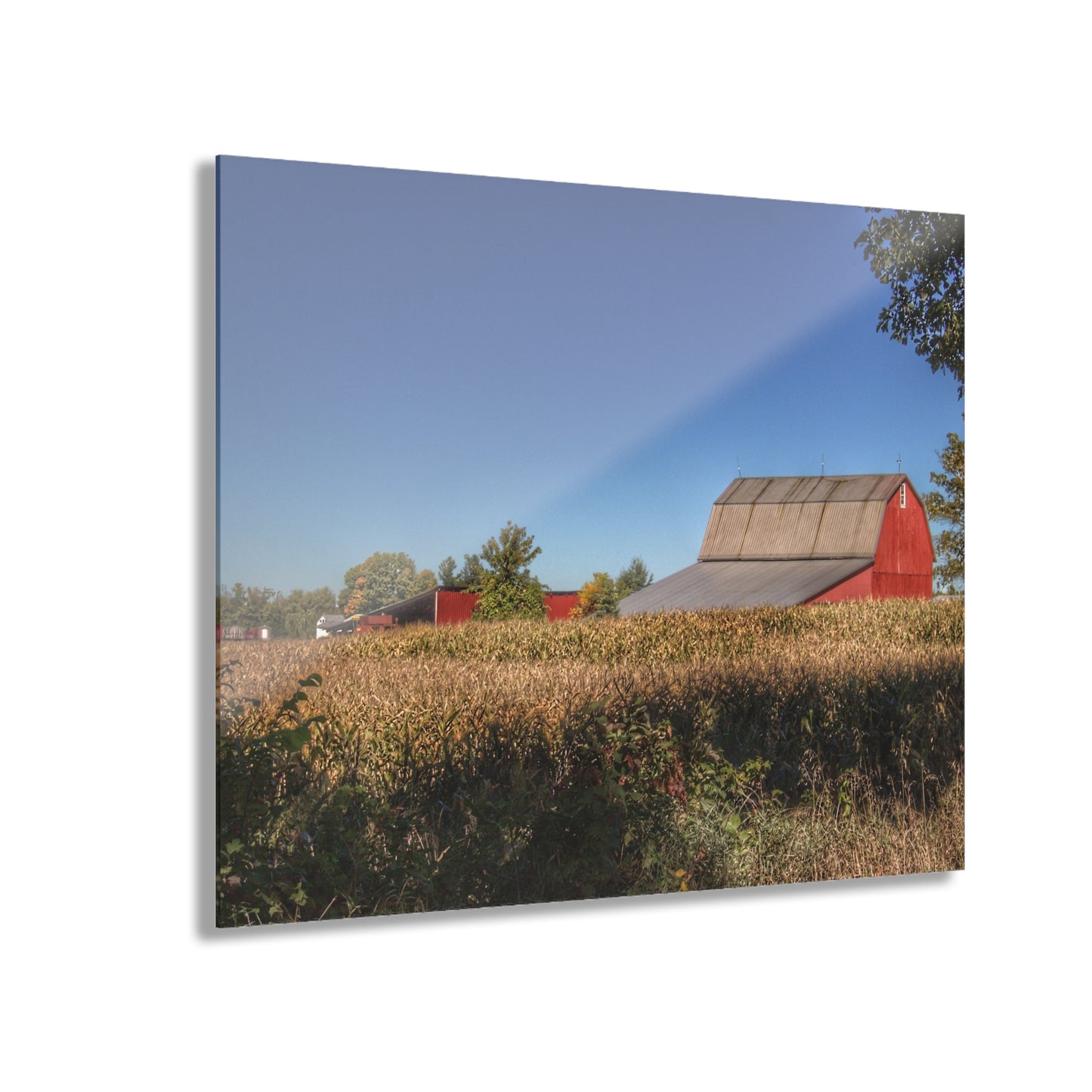 U R There Photography Red Saltbox Barn Rustic Farmhouse Acrylic Wall Print