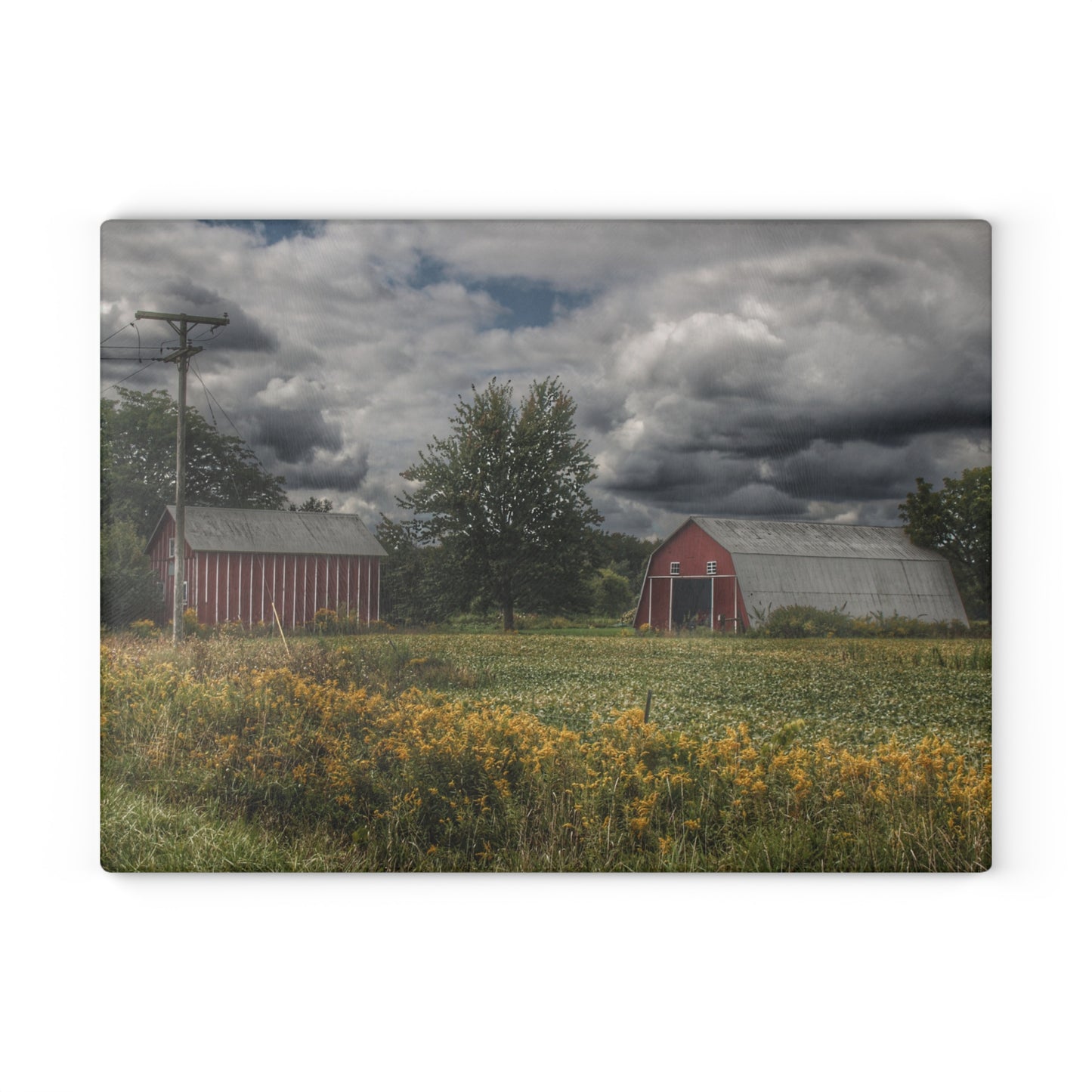 U R There Photography Pinstripe Barn and Buddy II Rustic Farmhouse Tempered-Glass Cutting Board