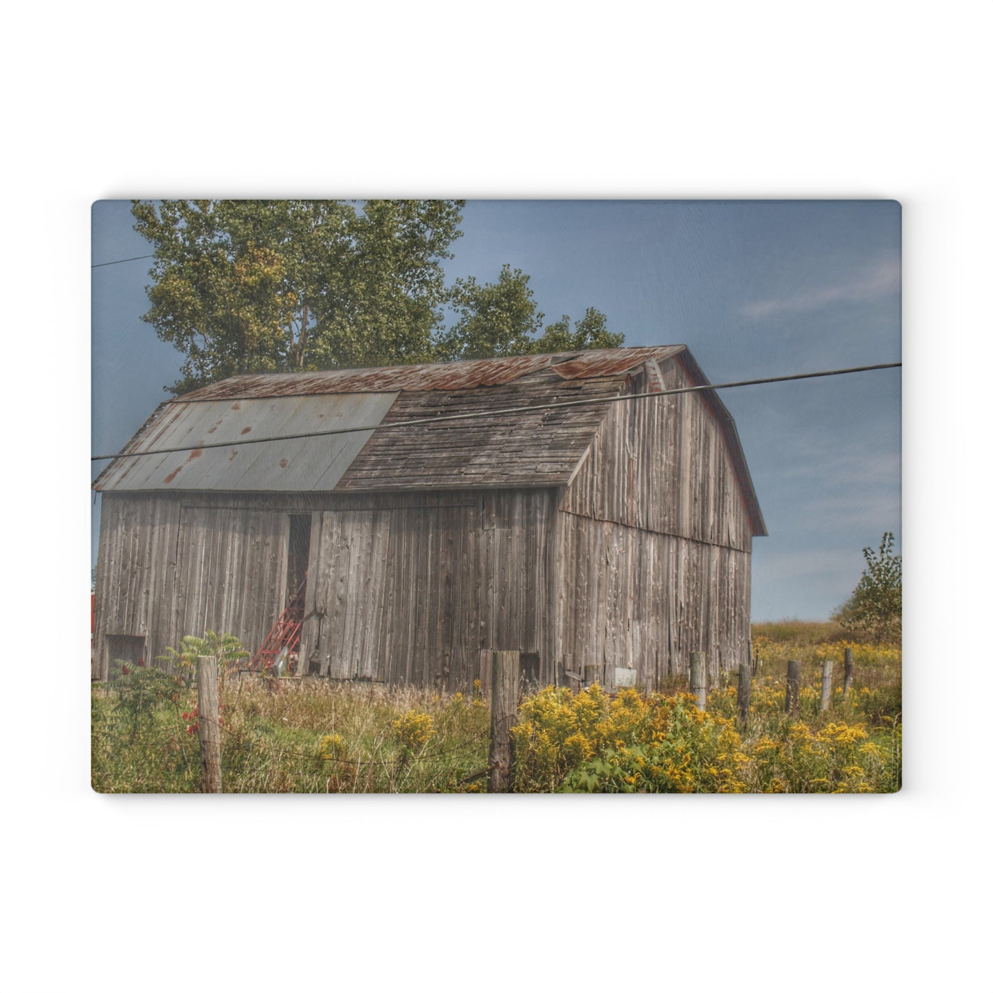 U R There Photography Schott Road Grey I Rustic Farmhouse Tempered-Glass Cutting Board