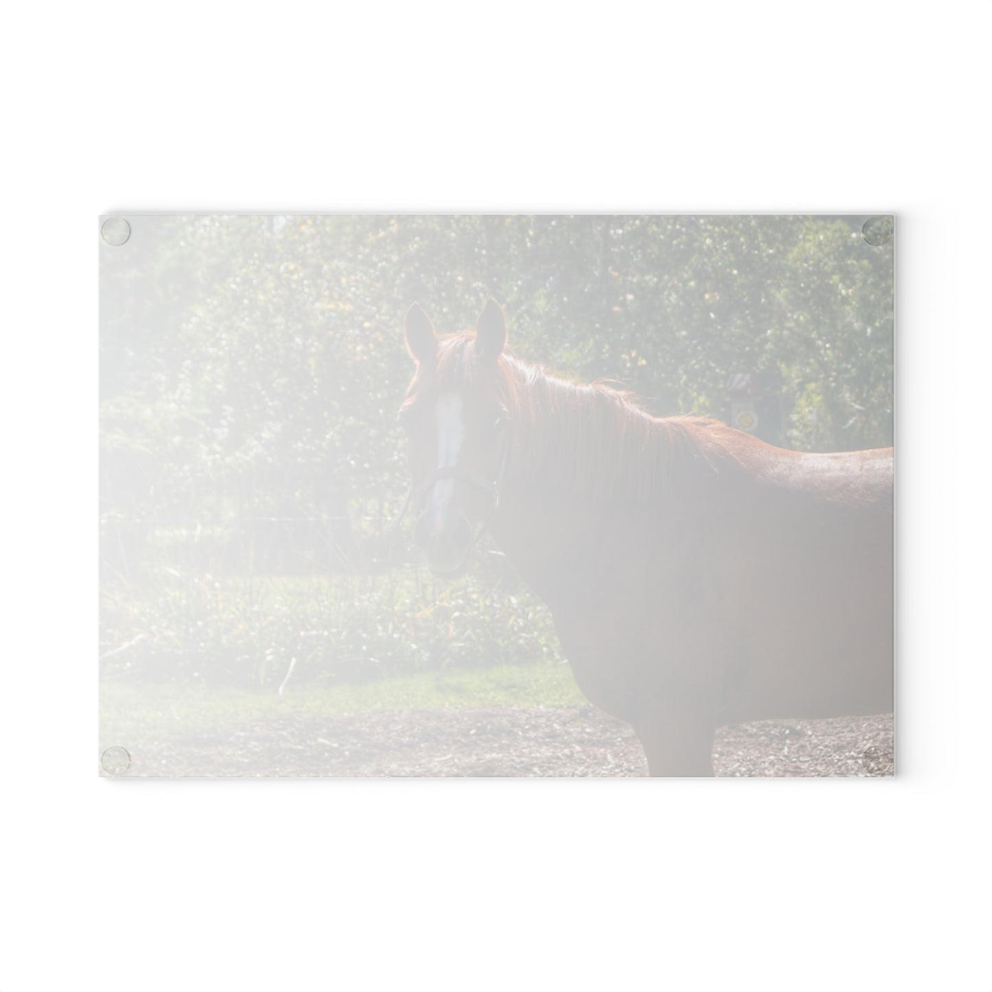 U R There Photography Froede Road Chestnut Brown Rustic Farmhouse Tempered-Glass Cutting Board
