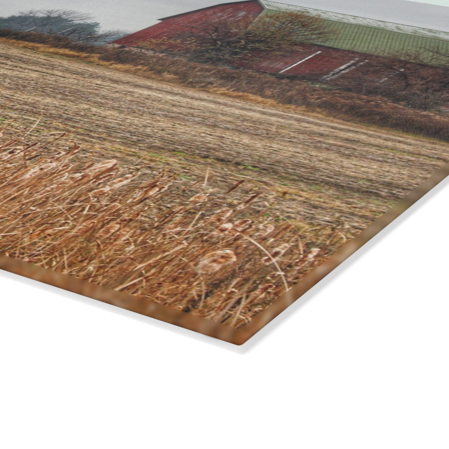 U R There Photography Bowers Road Red IV Rustic Farmhouse Tempered-Glass Cutting Board