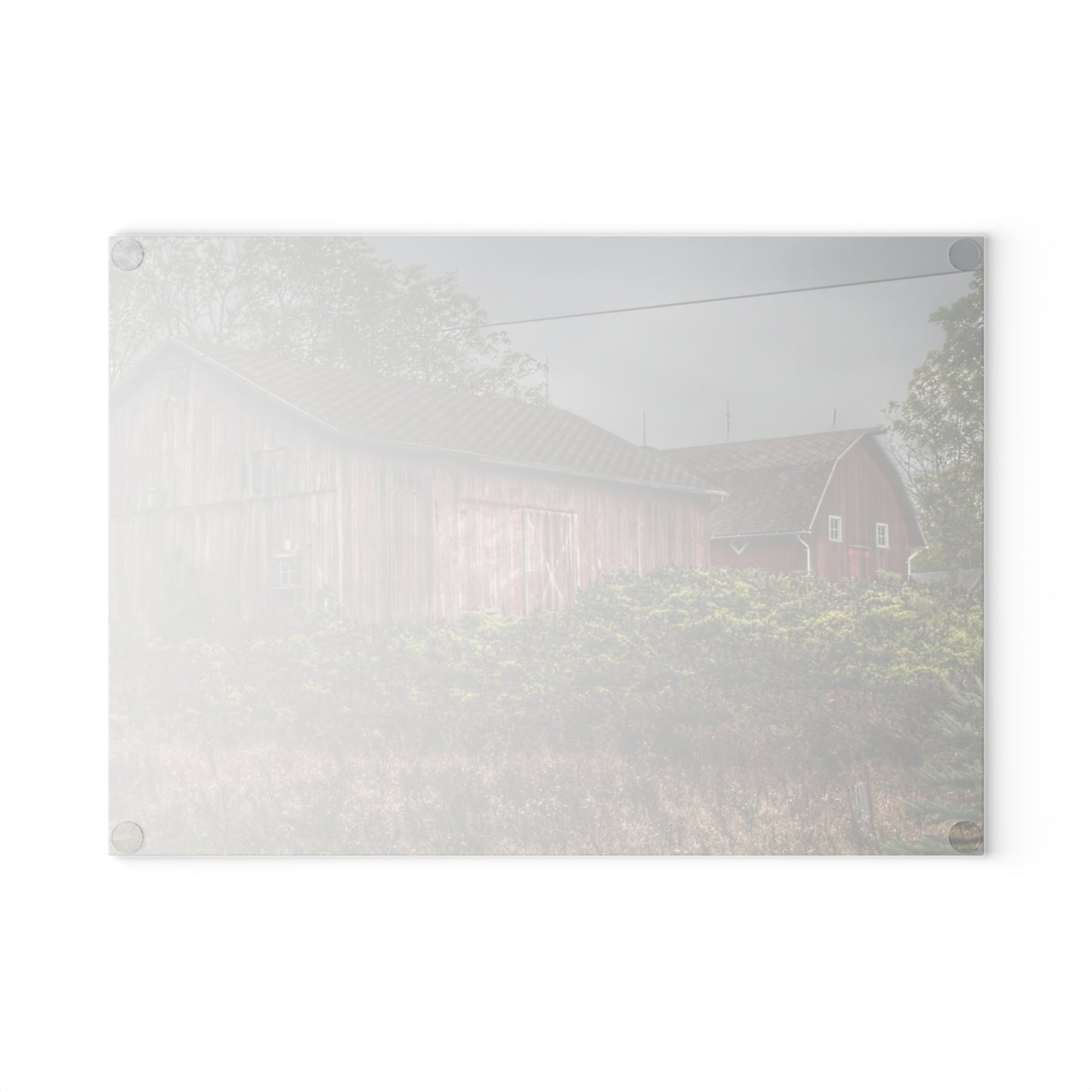 U R There Photography Washburn Reds I Rustic Farmhouse Tempered-Glass Cutting Board