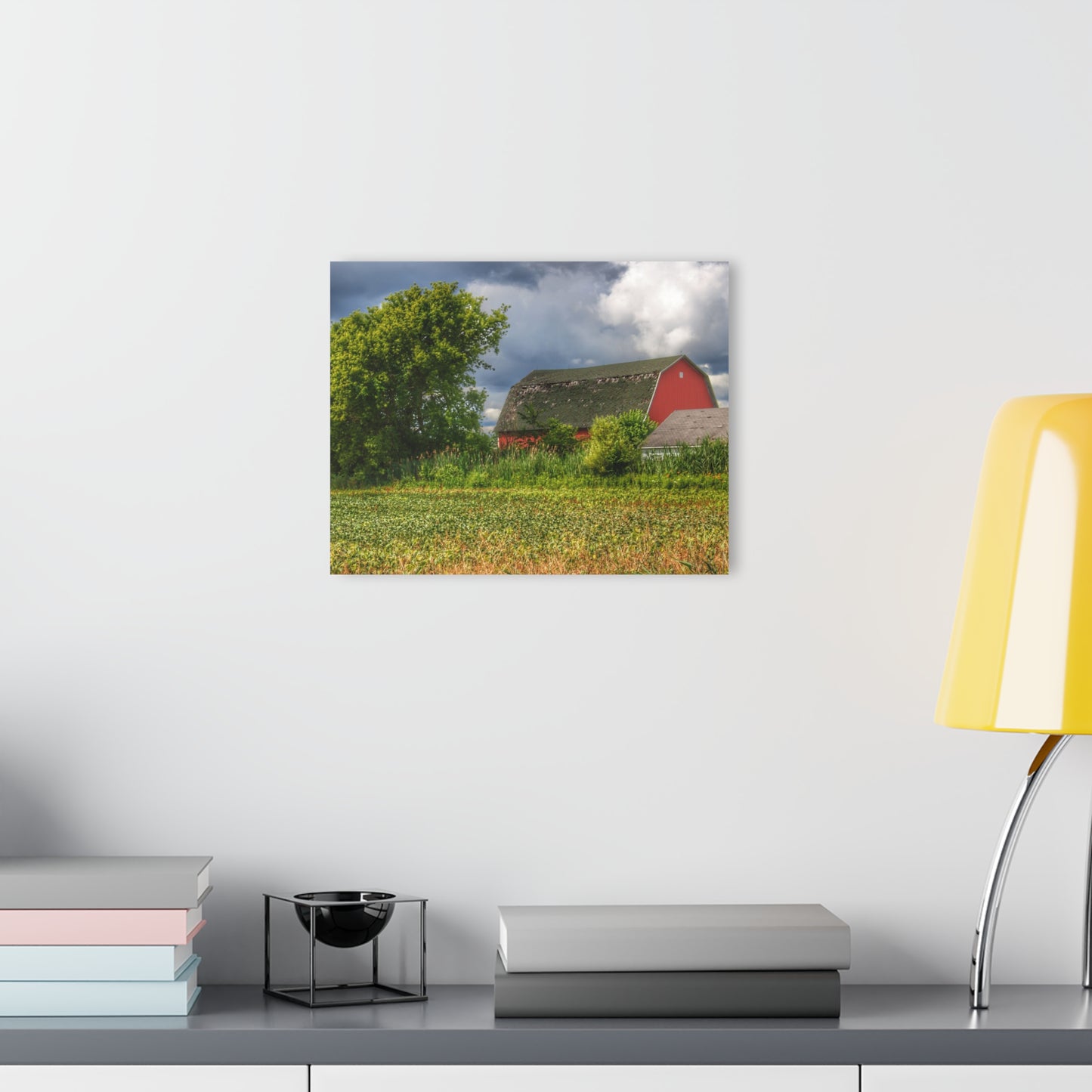 U R There Photography Shelby Red IV Rustic Farmhouse Acrylic Wall Print