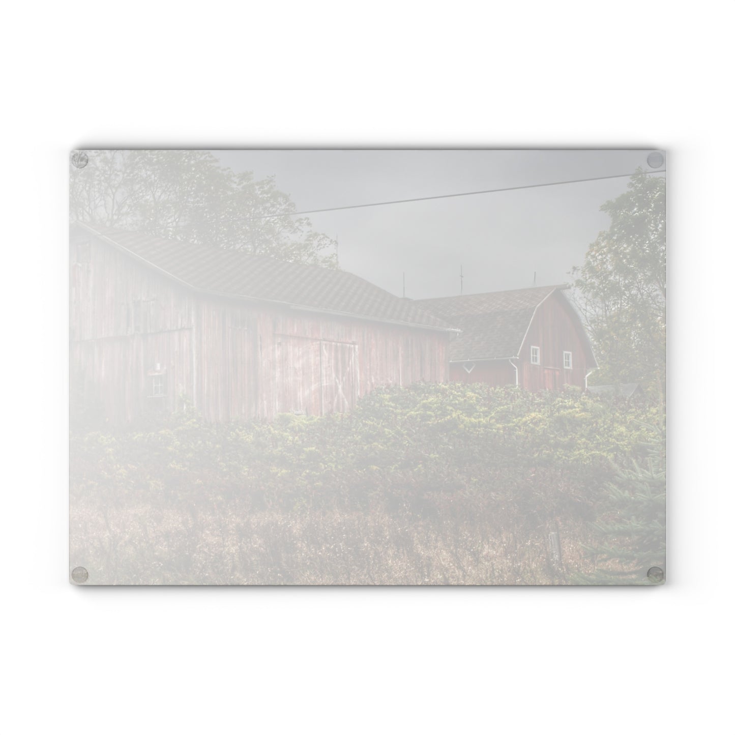 U R There Photography Washburn Reds Rustic Farmhouse Tempered-Glass Cutting Board