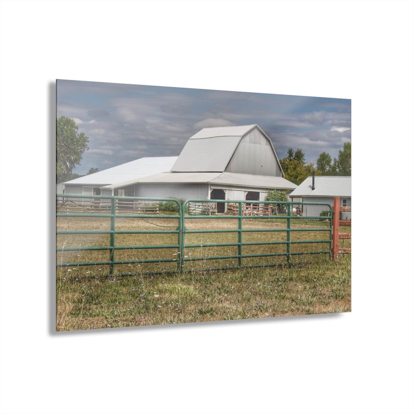 U R There Photography Petz Road Grey Rustic Farmhouse Acrylic Wall Print