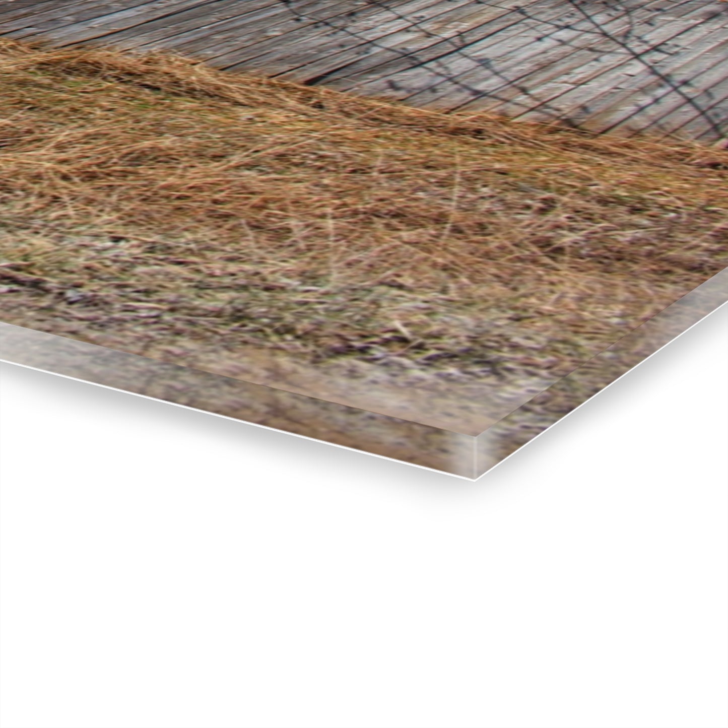 U R There Photography Romeo Plank Road Forgotten Greys Rustic Farmhouse Acrylic Wall Print