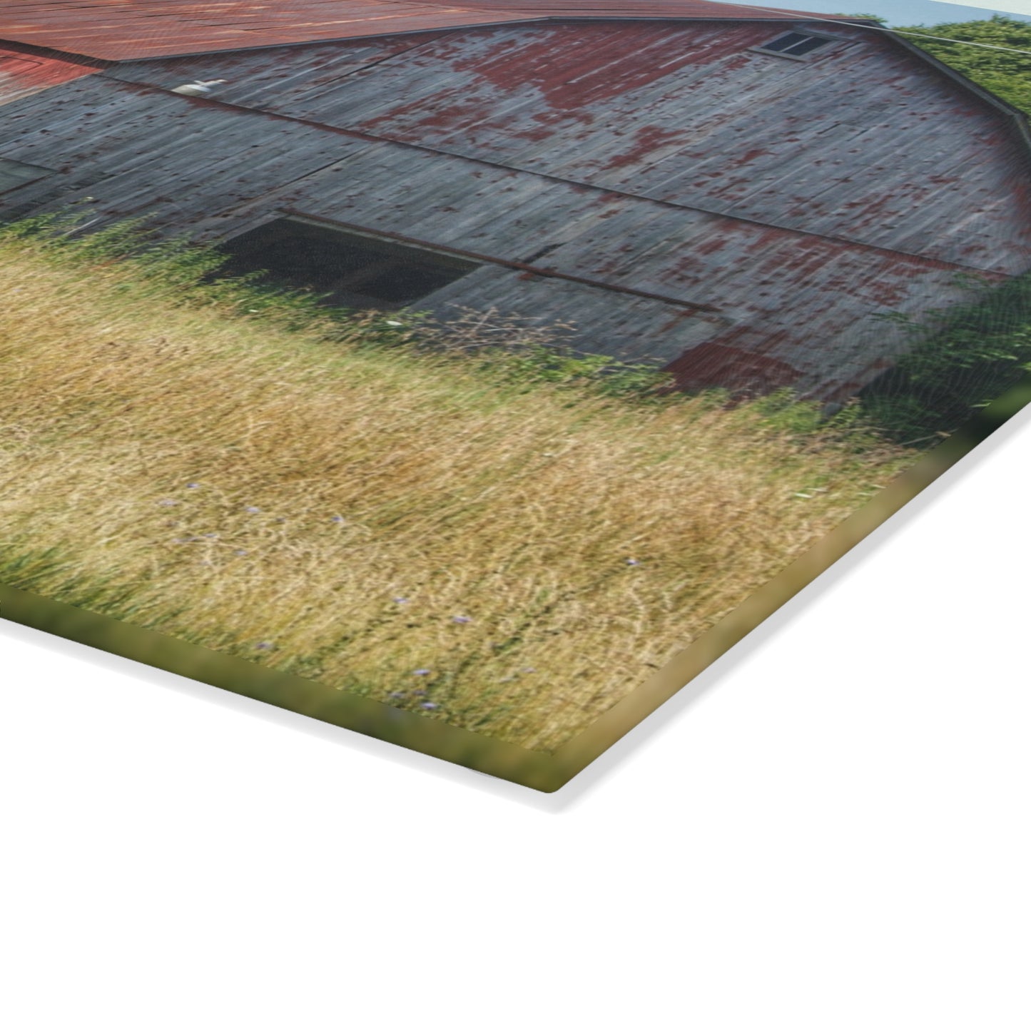 U R There Photography Scott Road Red Rustic Farmhouse Tempered-Glass Cutting Board
