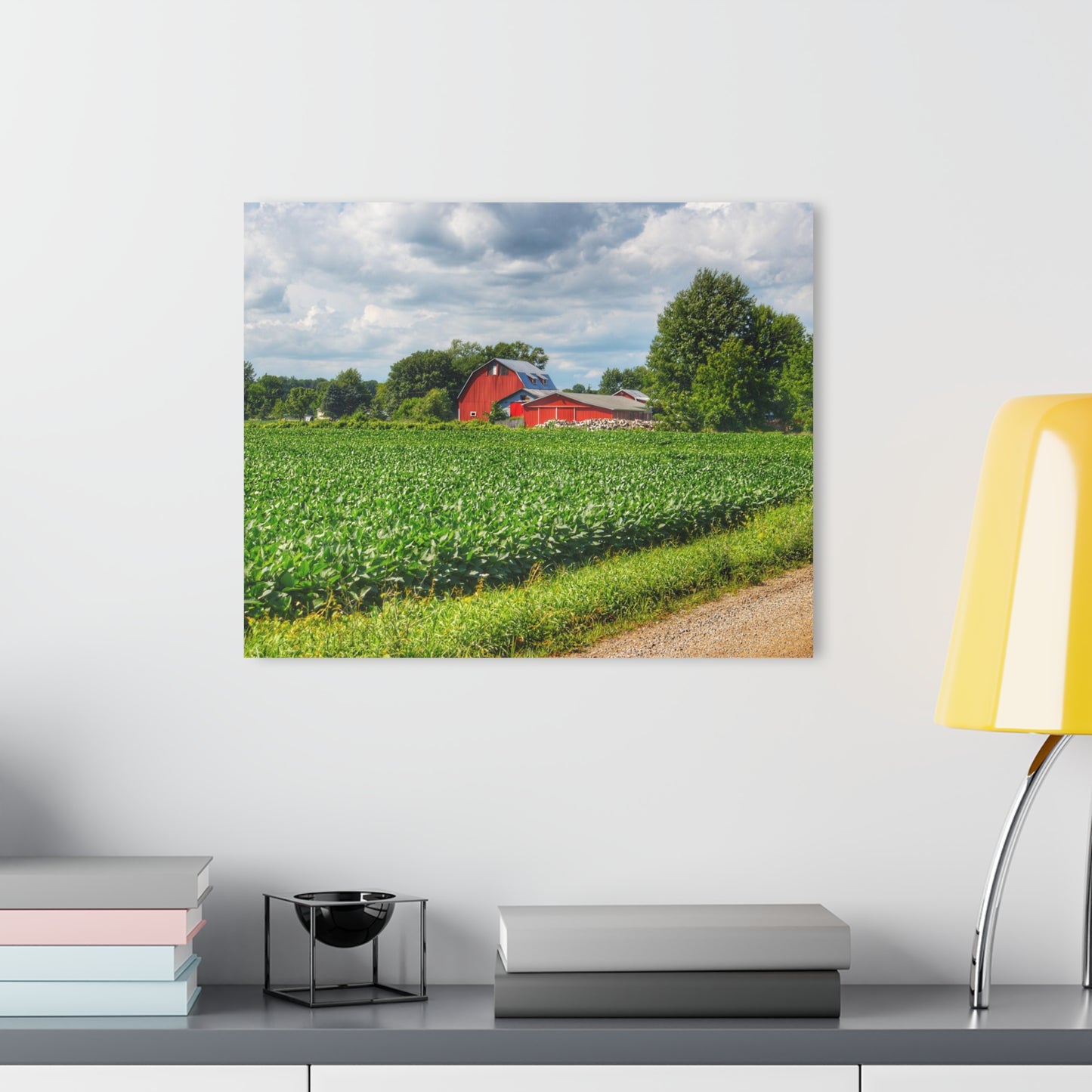 U R There Photography Block Road Reds Rustic Farmhouse Acrylic Wall Print