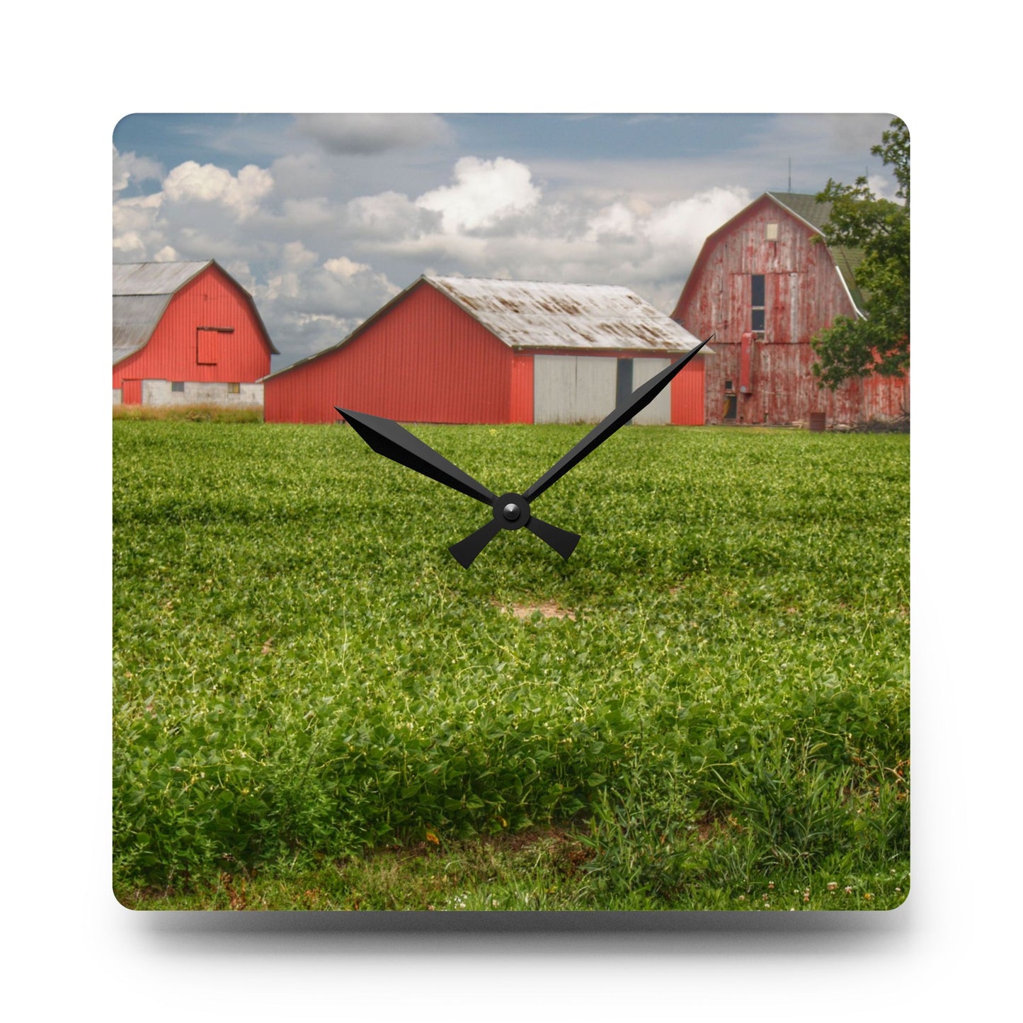 U R There Photography Roadside Trio Rustic Farmhouse Acrylic Analog Wall Clock
