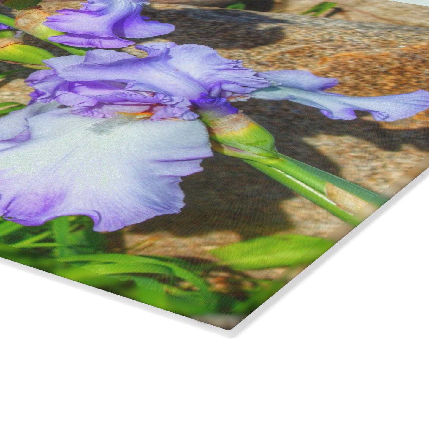 U R There Photography Saint Hugos Iris Rustic Farmhouse Tempered-Glass Cutting Board