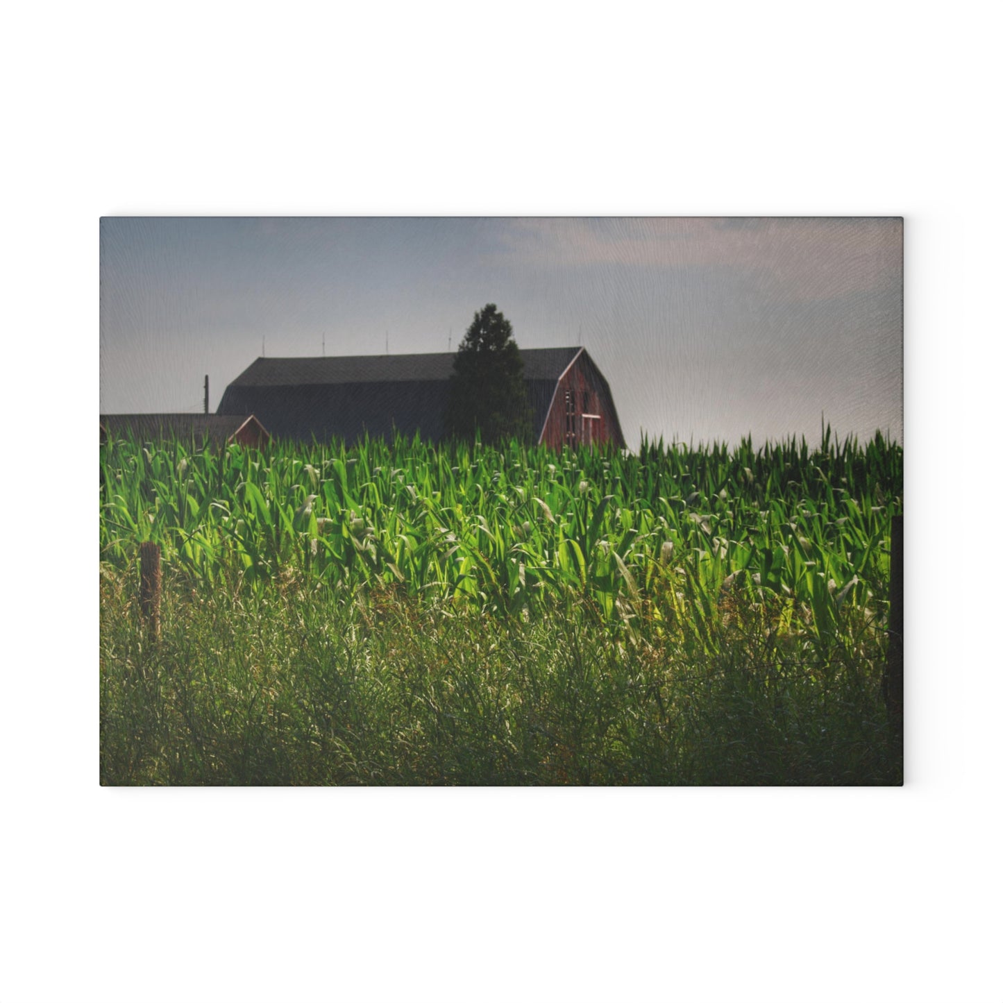 U R There Photography Beyond the Corn in Metamora Rustic Farmhouse Tempered-Glass Cutting Board