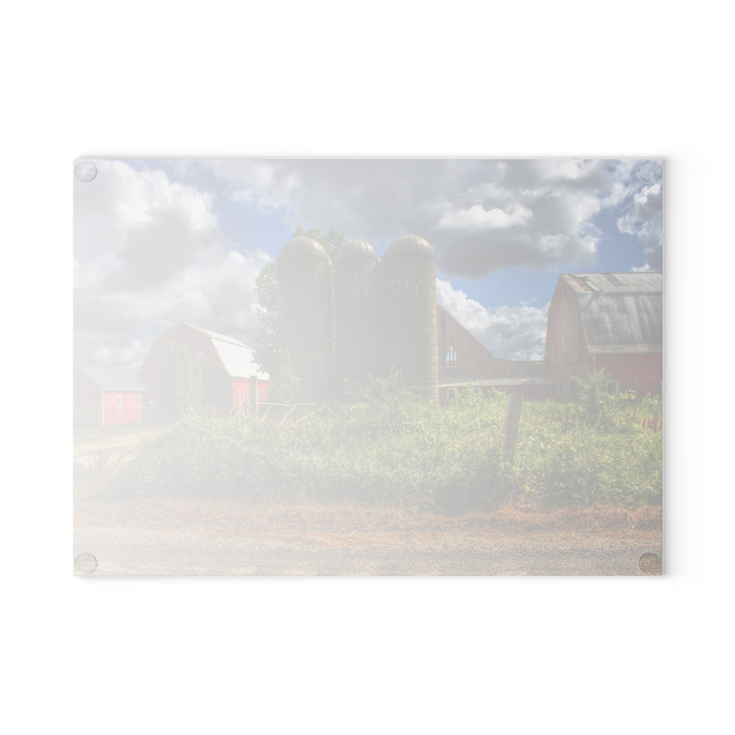 U R There Photography Shelby Red II Rustic Farmhouse Tempered-Glass Cutting Board