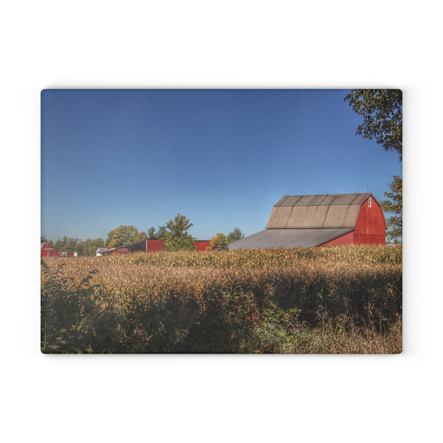 U R There Photography Red Saltbox Barn Rustic Farmhouse Tempered-Glass Cutting Board