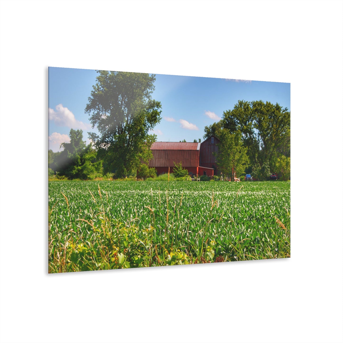U R There Photography Canada Road Hidden Red Rustic Farmhouse Acrylic Wall Print