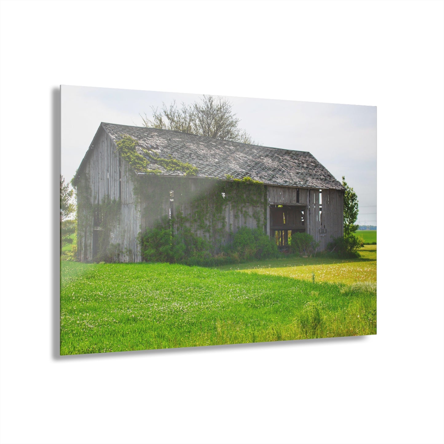 U R There Photography Caro Road Twin Grey II Rustic Farmhouse Acrylic Wall Print