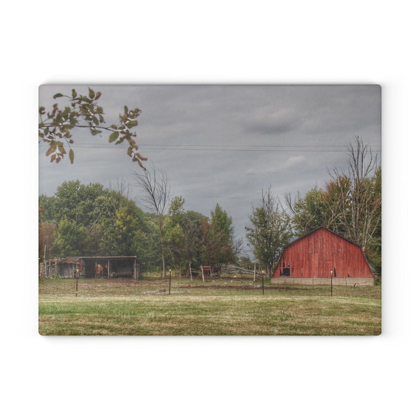 U R There Photography Petz Road Farm Rustic Farmhouse Tempered-Glass Cutting Board