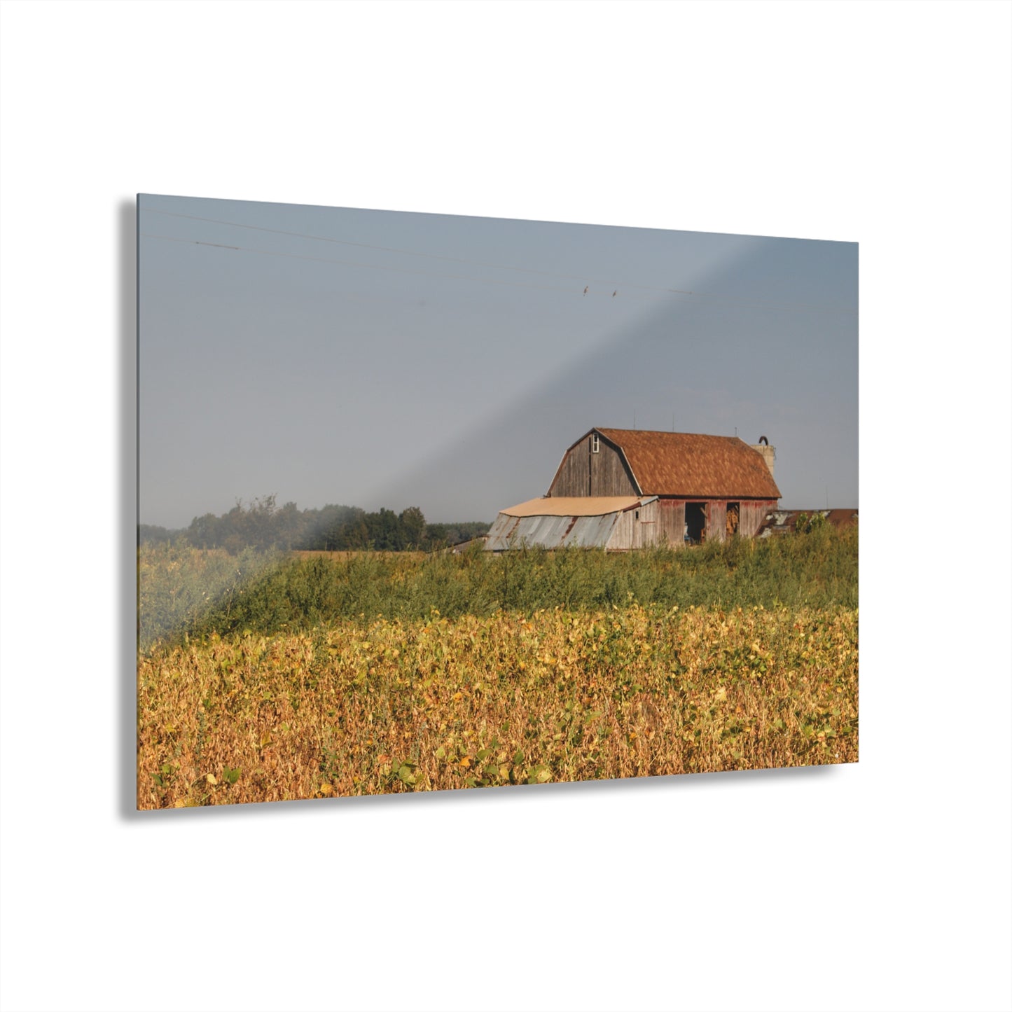 U R There Photography Slattery Road Saltbox Grey Rustic Farmhouse Acrylic Wall Print