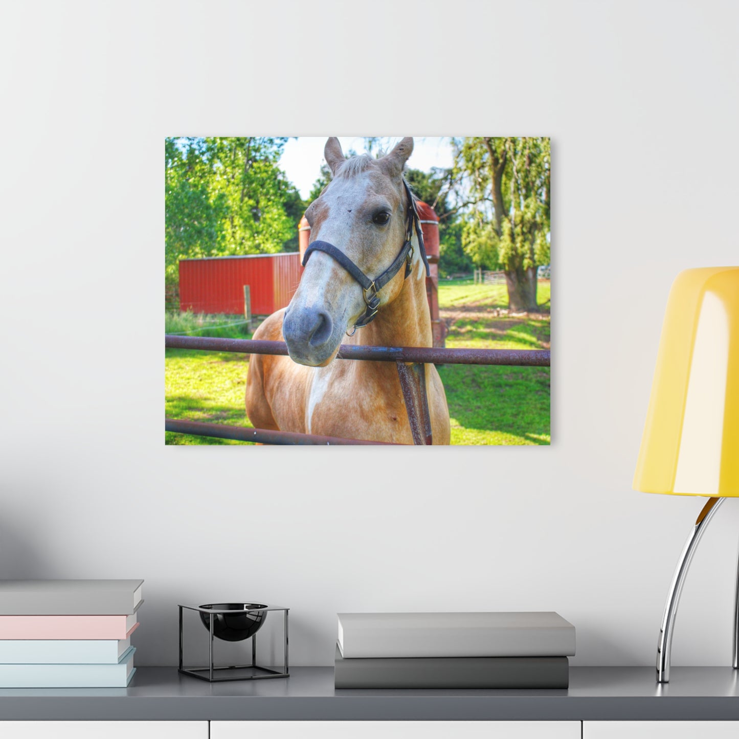 U R There Photography White Cream Mare of Hollenbeck Rustic Farmhouse Acrylic Wall Print 14 "x 11"