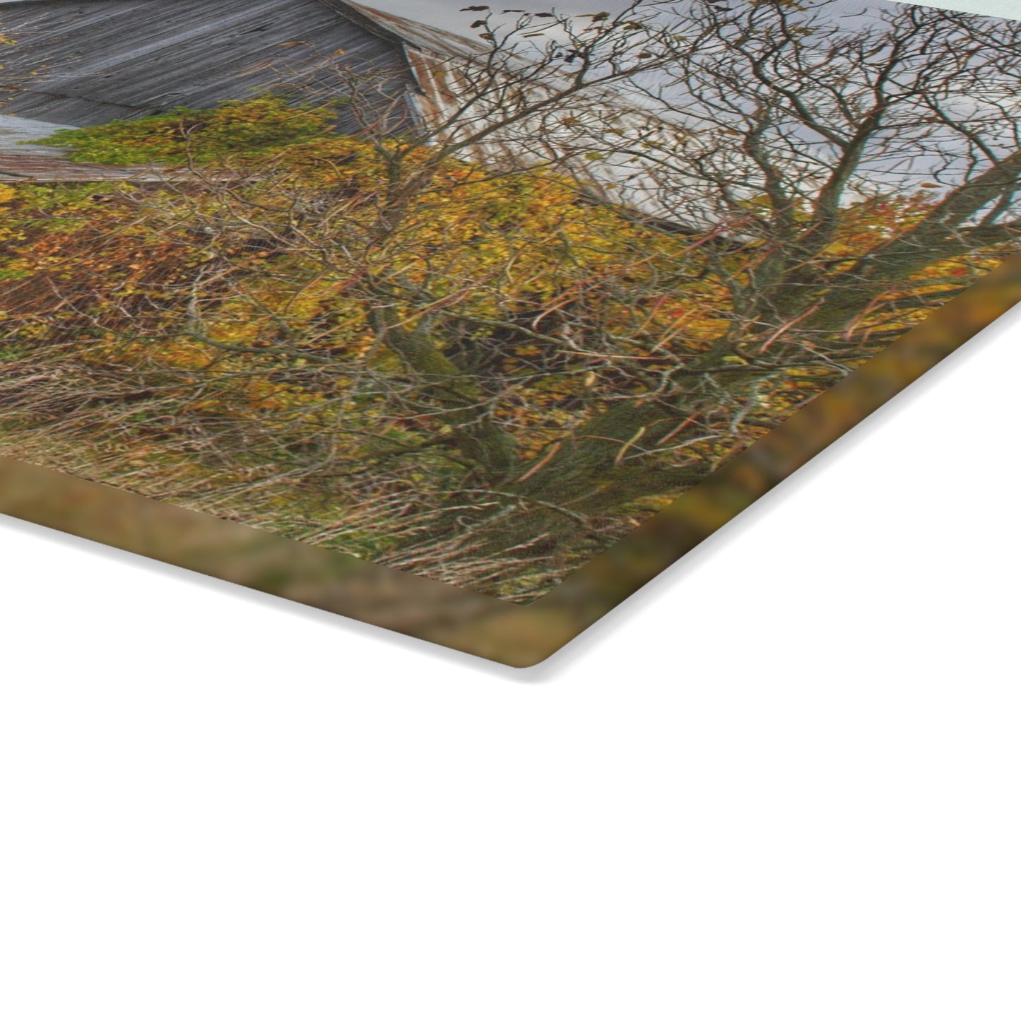 U R There Photography Church Road Grey IV Rustic Farmhouse Tempered-Glass Cutting Board
