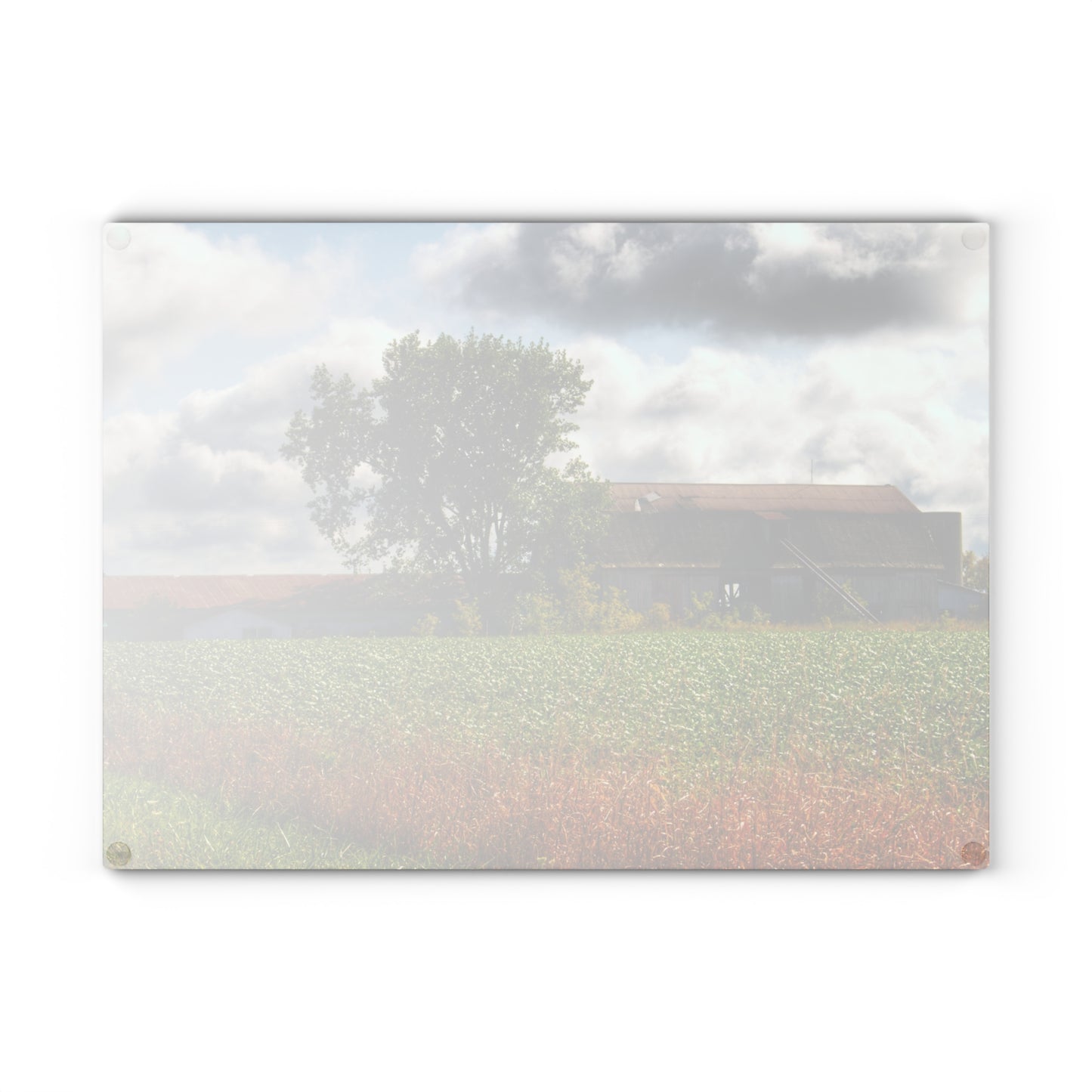 U R There Photography Silverwood Haybarn Rustic Farmhouse Tempered-Glass Cutting Board