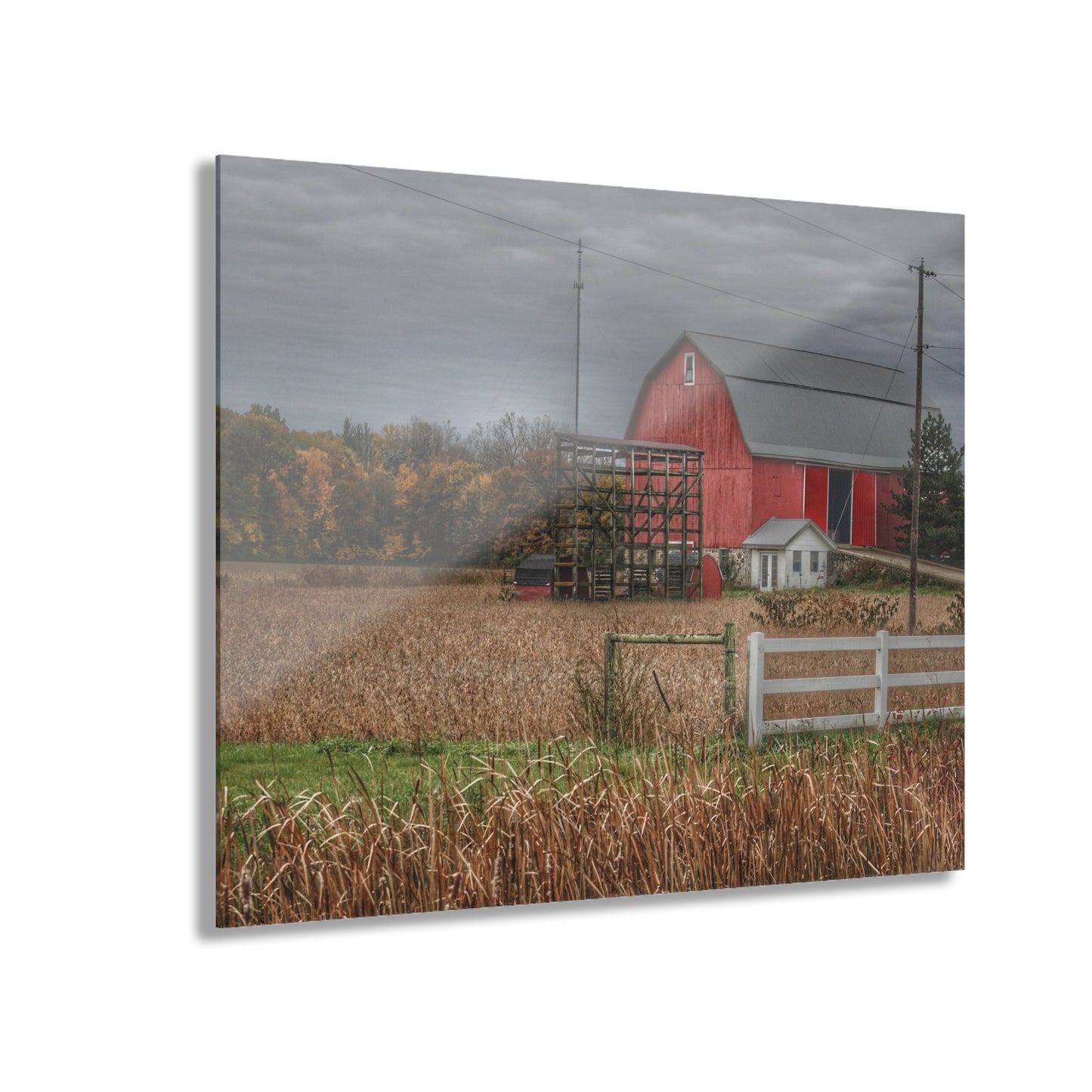 U R There Photography Barnes Road Red in Fall Rustic Farmhouse Acrylic Wall Print