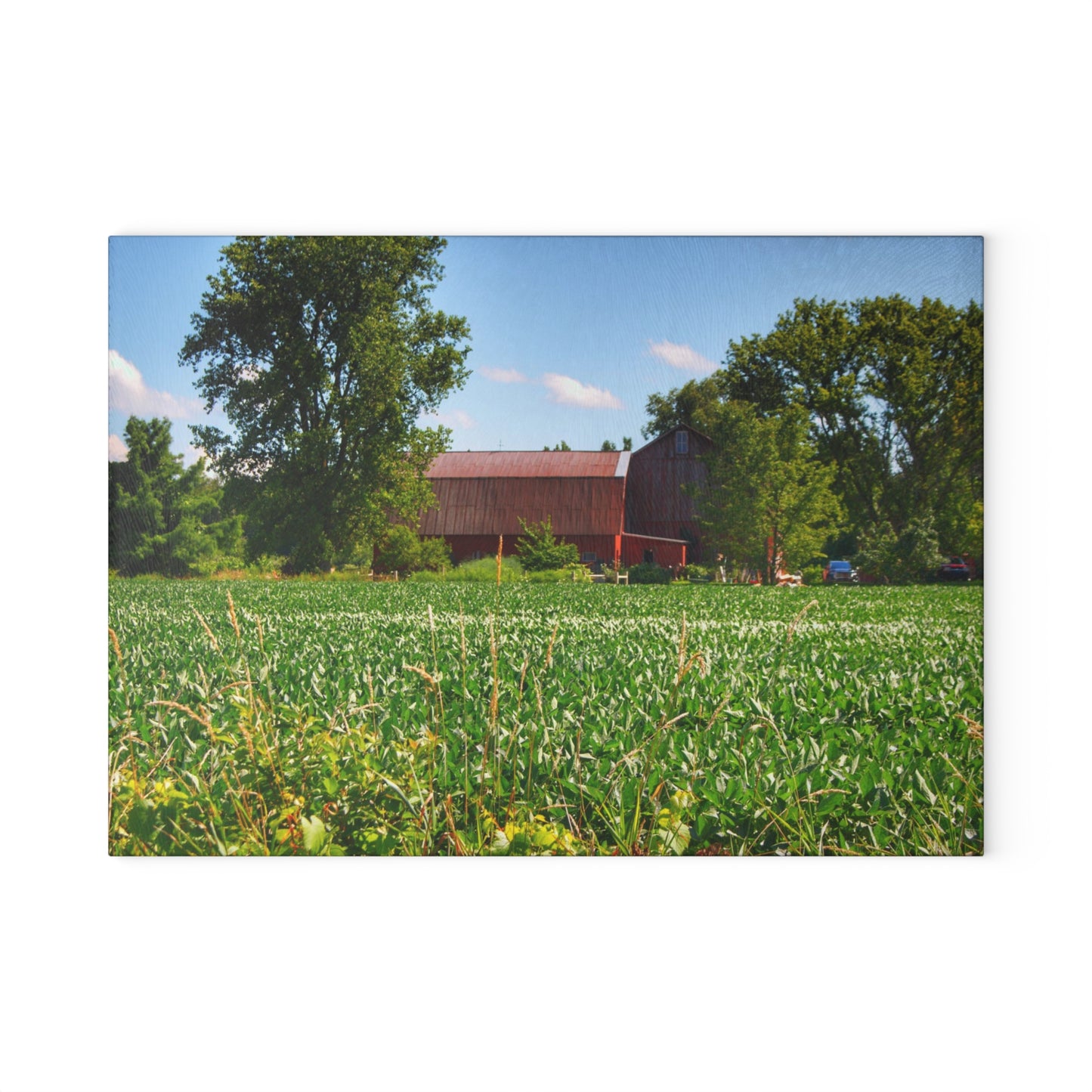 U R There Photography Canada Road Hidden Red Rustic Farmhouse Tempered-Glass Cutting Board