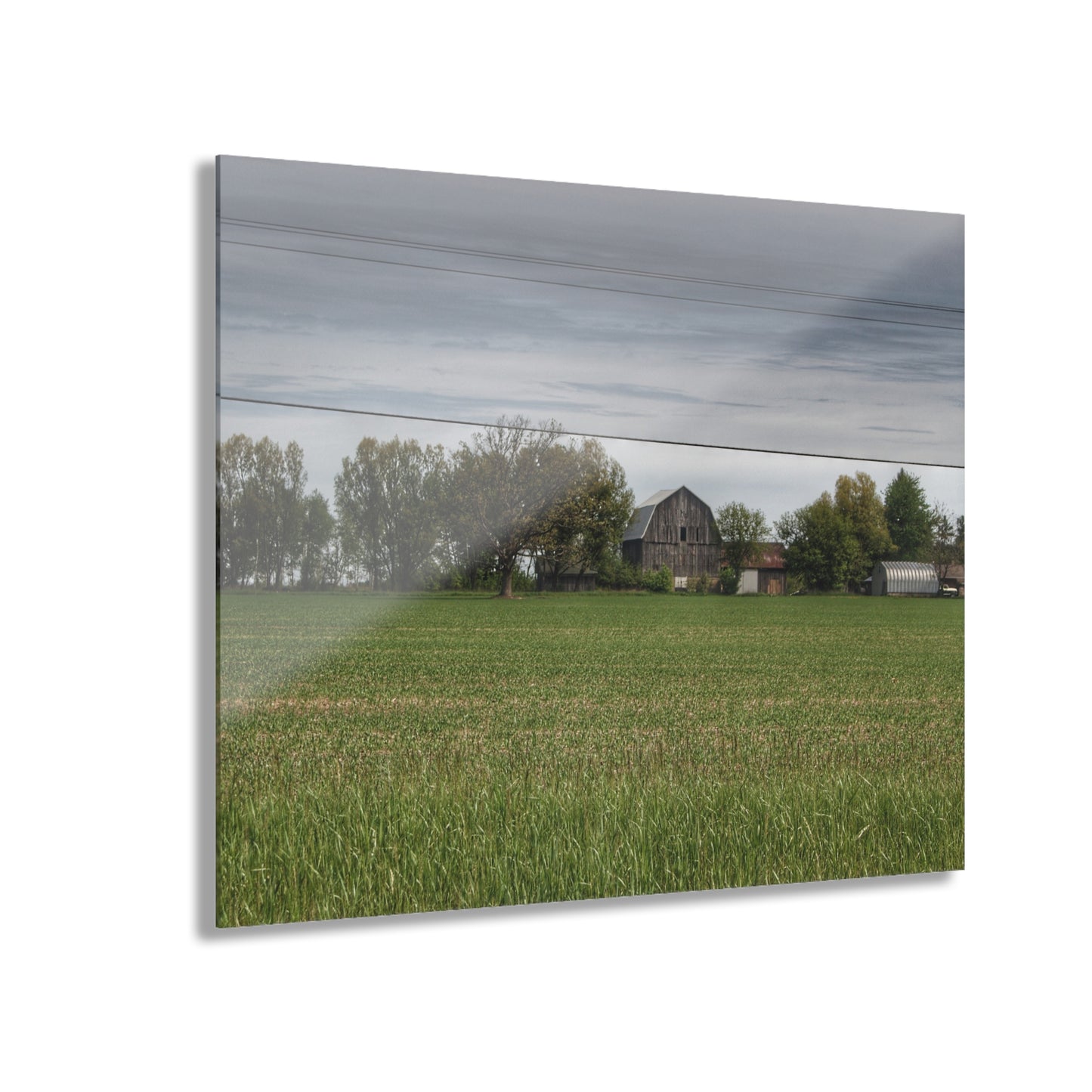 U R There Photography Old Grey Across the Field Rustic Farmhouse Acrylic Wall Print