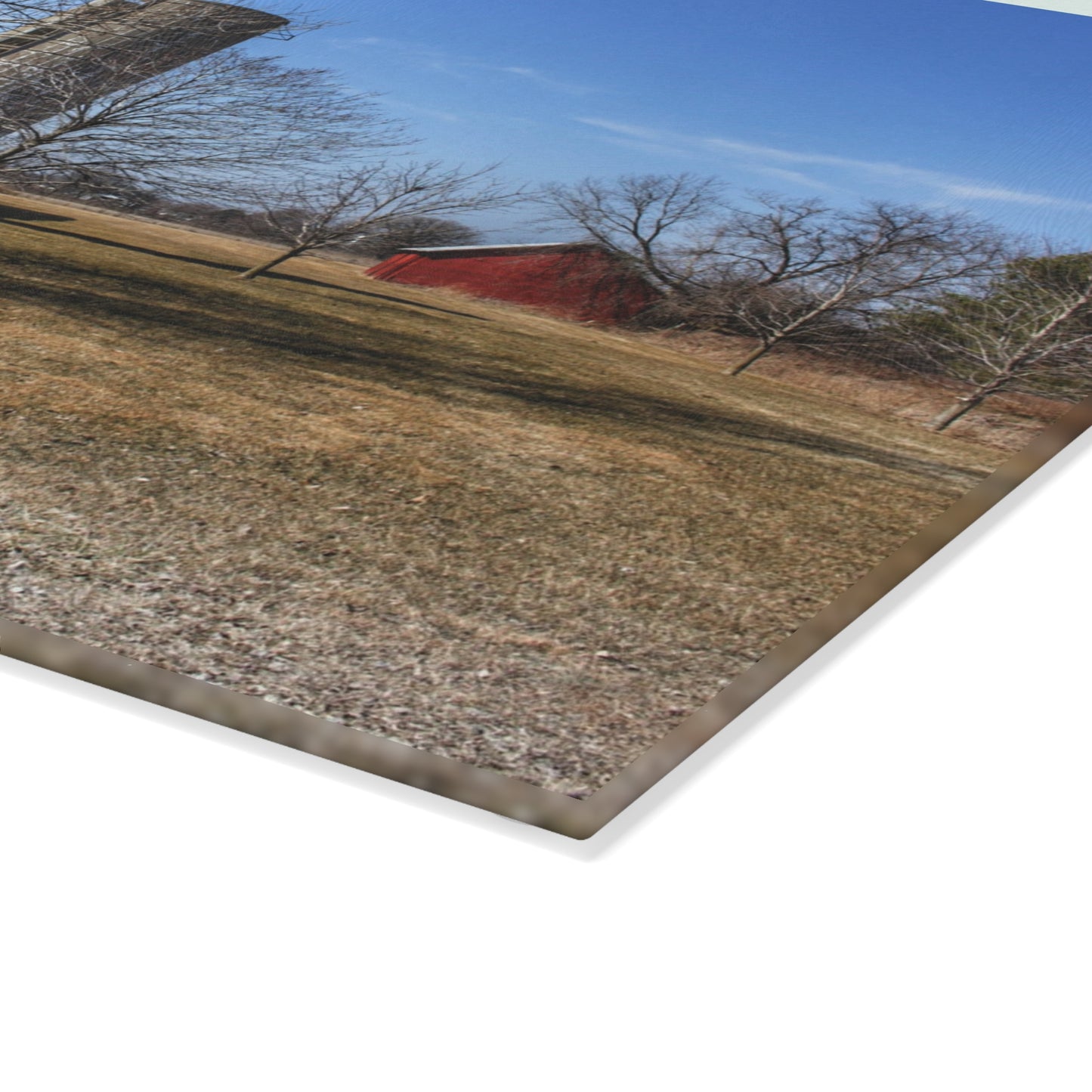 U R There Photography Romeo Plank Road Reds I Rustic Farmhouse Tempered-Glass Cutting Board