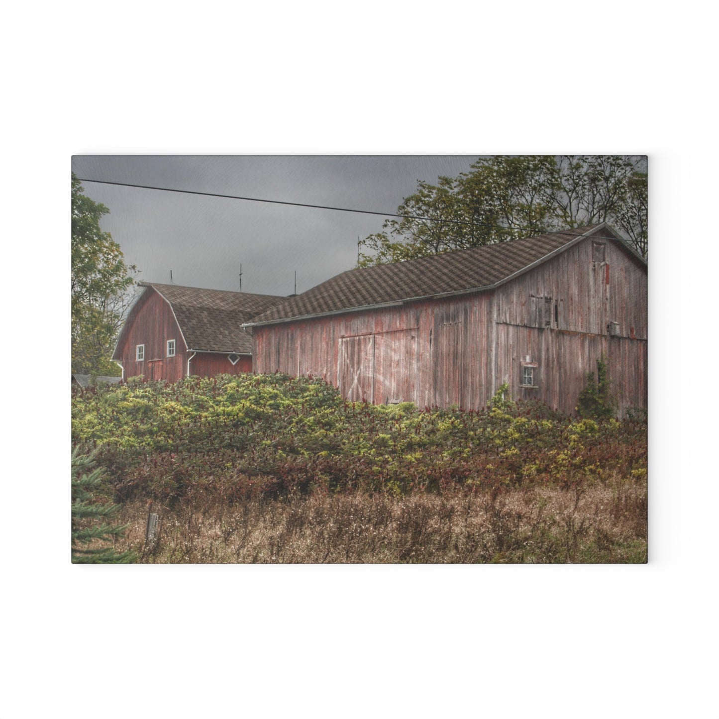 U R There Photography Washburn Reds I Rustic Farmhouse Tempered-Glass Cutting Board