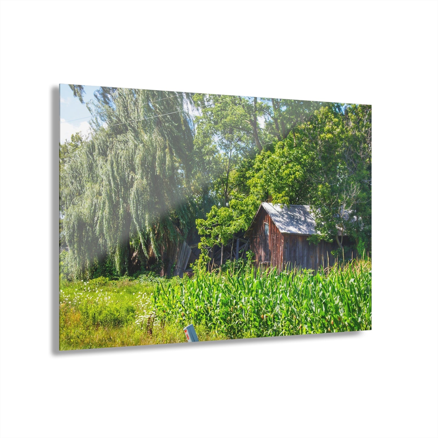 U R There Photography Roadside Ruin Rustic Farmhouse Acrylic Wall Print