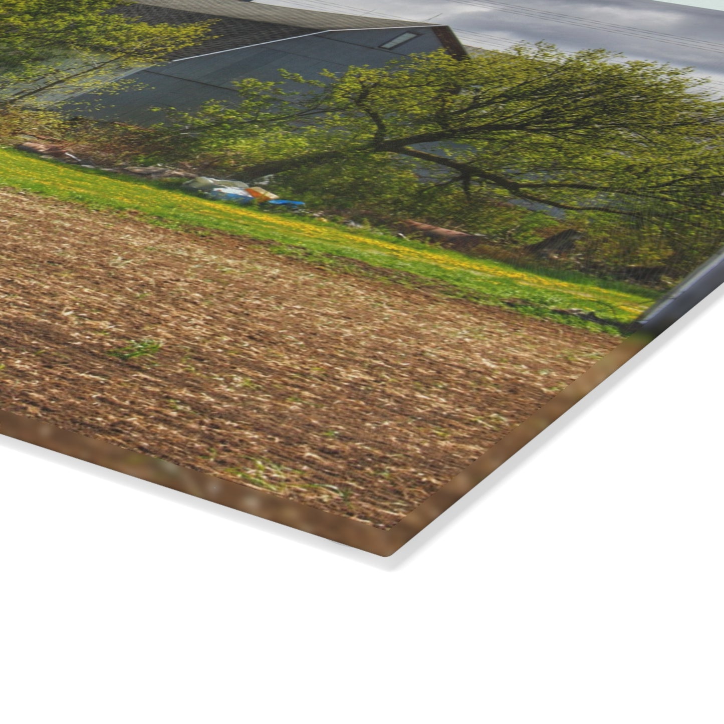 U R There Photography Rescue Road Old Grey Rustic Farmhouse Tempered-Glass Cutting Board