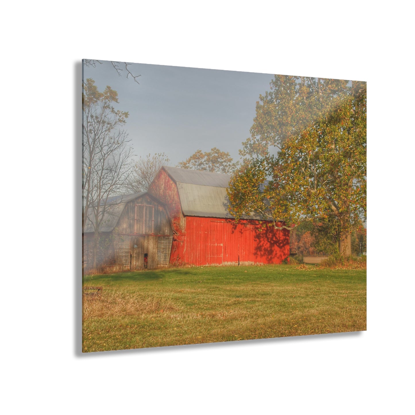 U R There Photography Barkley Road Red I Rustic Farmhouse Acrylic Wall Print