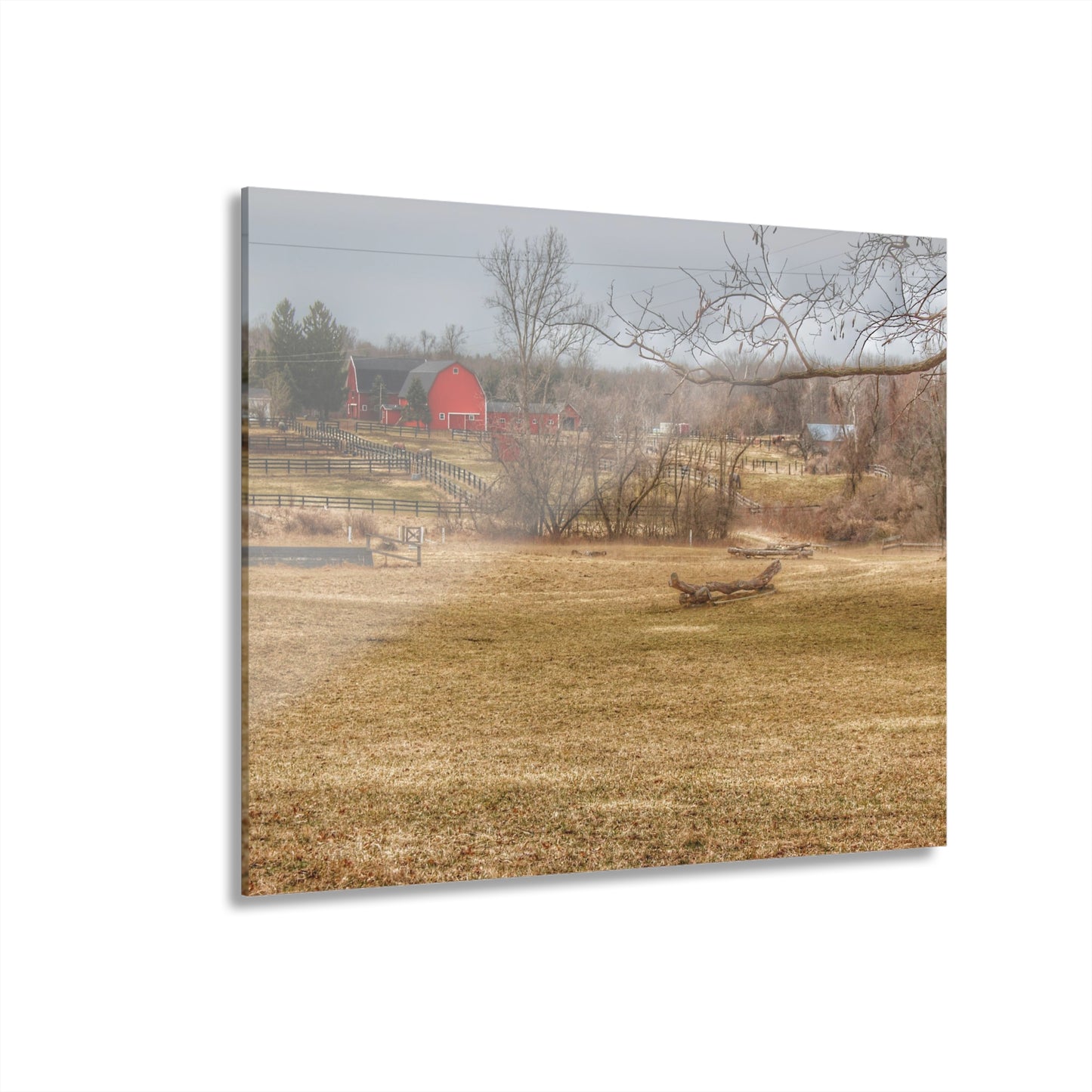 U R There Photography Beyond the Trees on Rock Valley Road Rustic Farmhouse Acrylic Wall Print