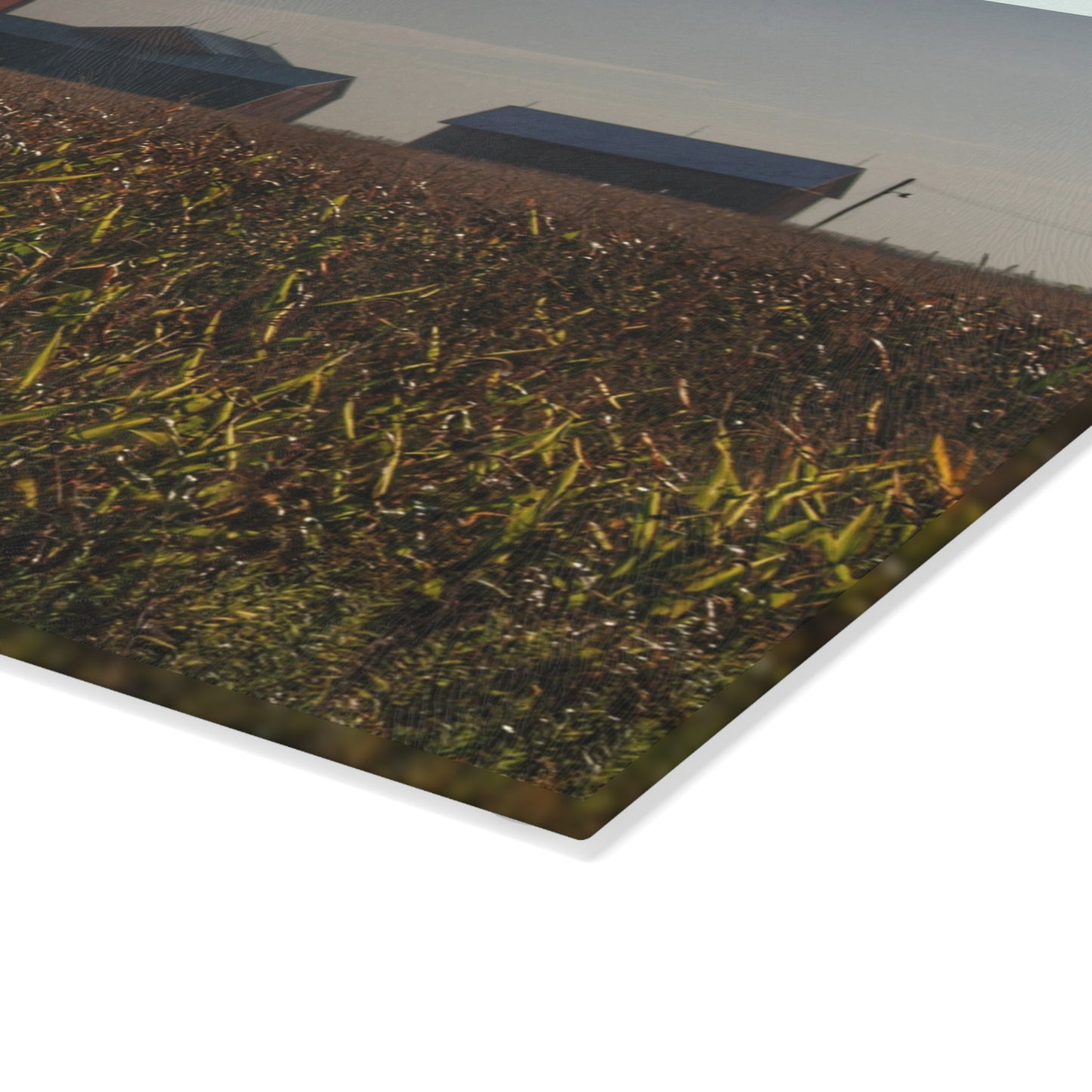 U R There Photography Slattery Road Farm and Cornfield I Rustic Farmhouse Tempered-Glass Cutting Board