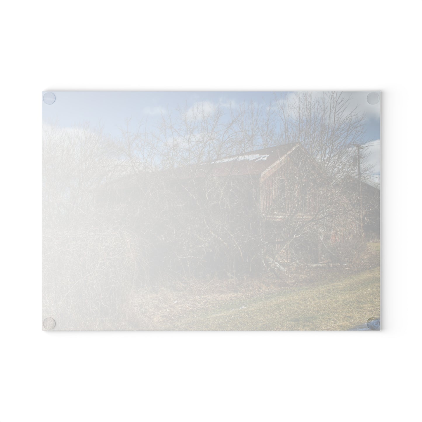 U R There Photography Buried Burnside Greys I Rustic Farmhouse Tempered-Glass Cutting Board