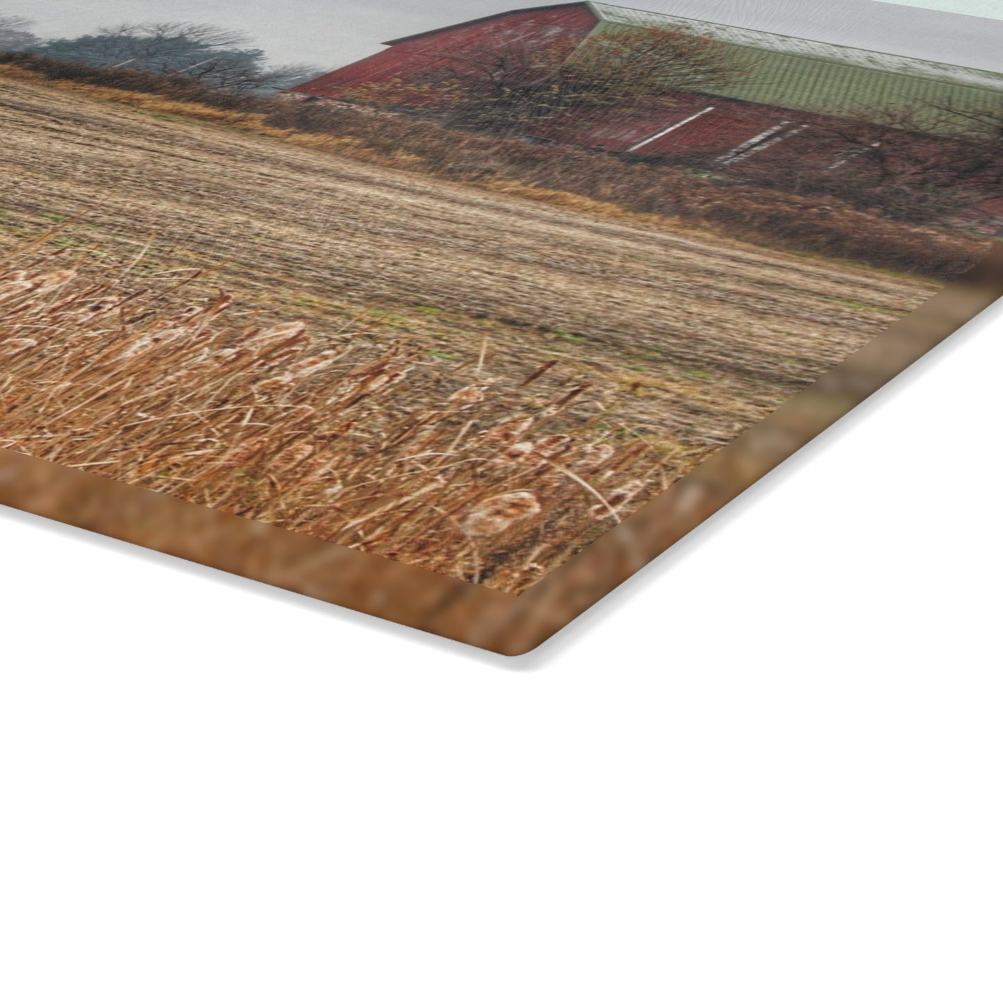 U R There Photography Bowers Road Red IV Rustic Farmhouse Tempered-Glass Cutting Board