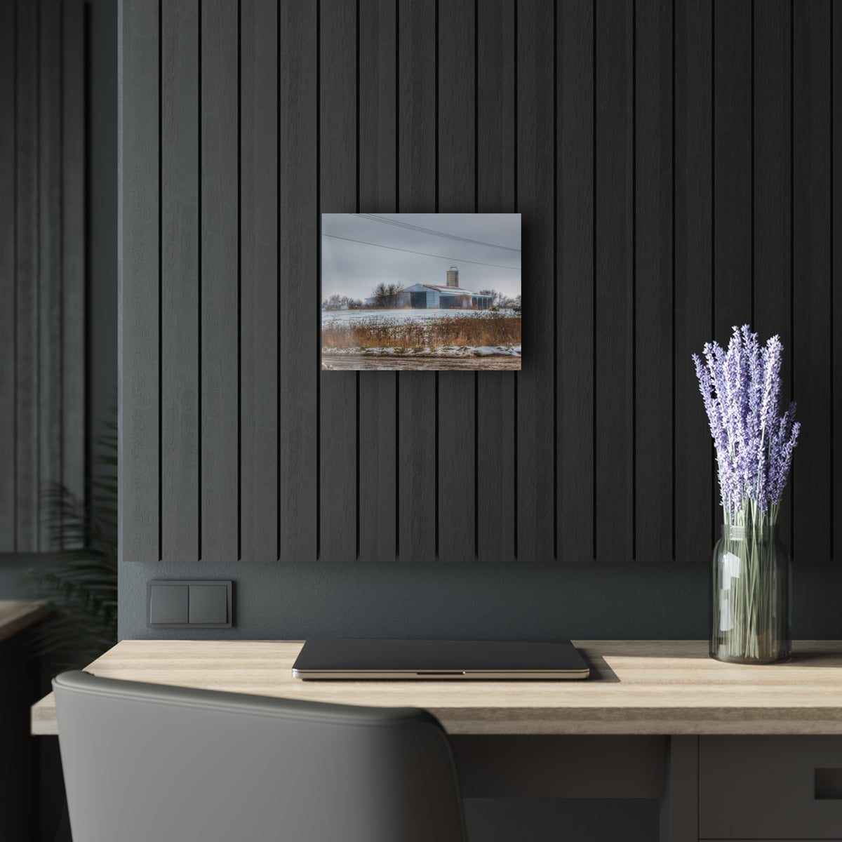 Noble Road Blue Cow Barn | Wall Prints 14″ x 11″ (Horizontal) 0.25''