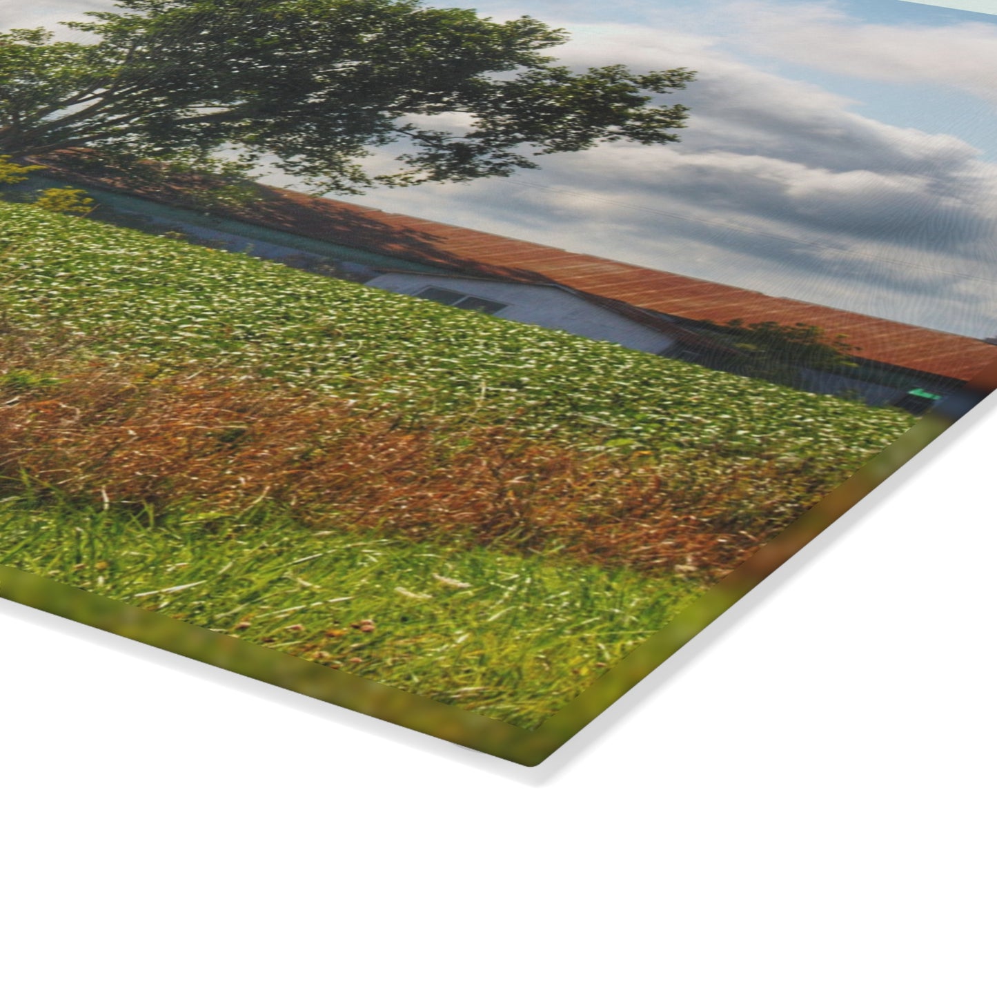 U R There Photography Silverwood Haybarn Rustic Farmhouse Tempered-Glass Cutting Board