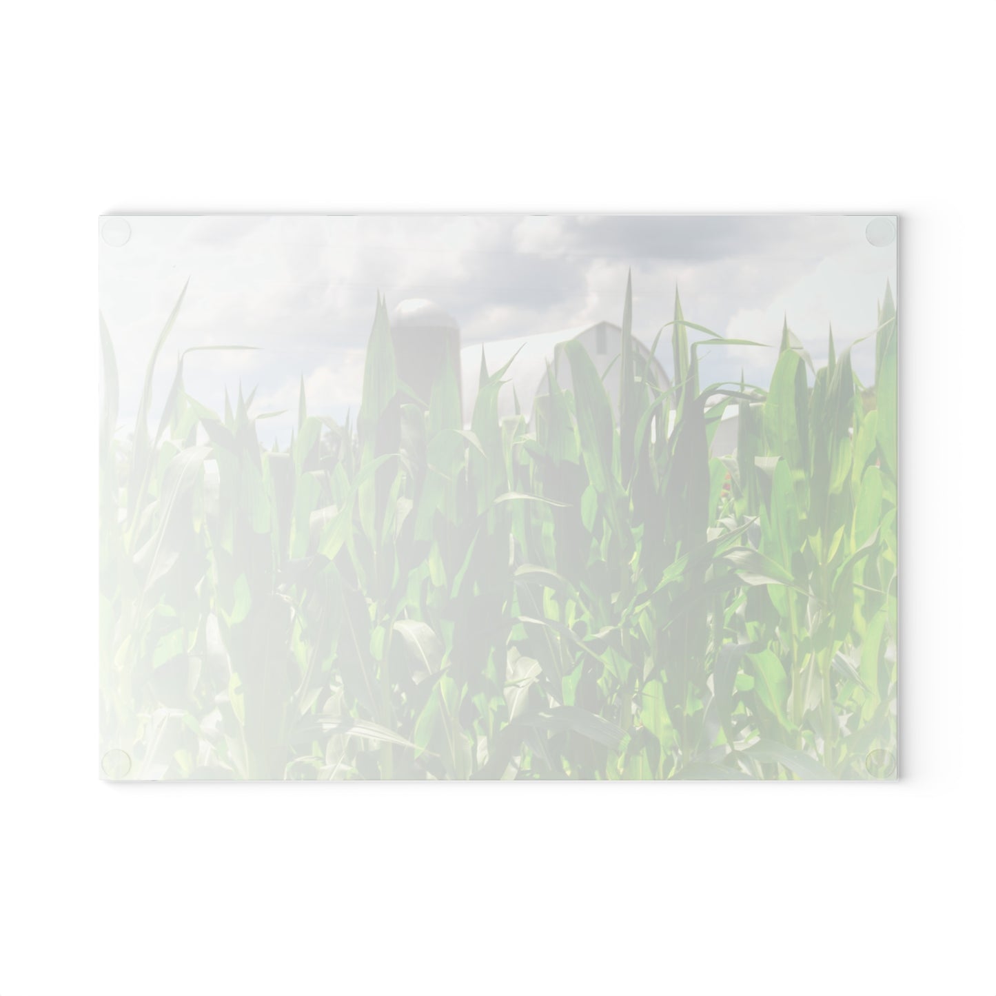 U R There Photography Beyond the Corn in Millington Rustic Farmhouse Tempered-Glass Cutting Board