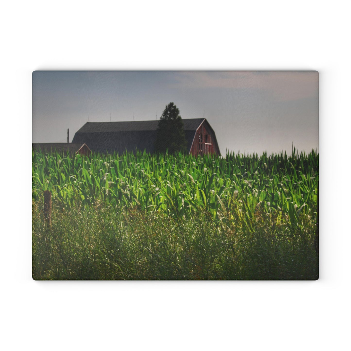 U R There Photography Beyond the Corn in Metamora Rustic Farmhouse Tempered-Glass Cutting Board