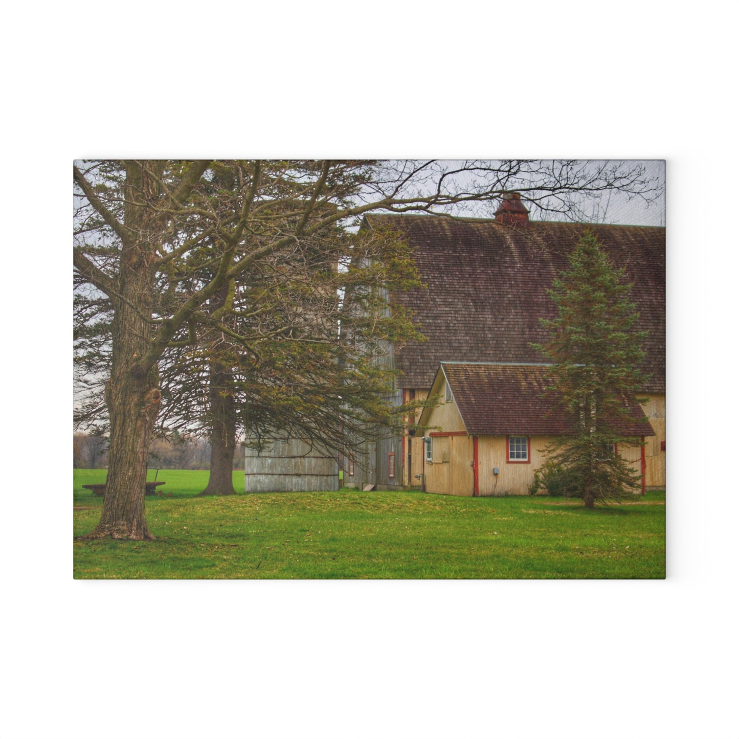 U R There Photography Romeo Van Dyke Grey Rustic Farmhouse Tempered-Glass Cutting Board