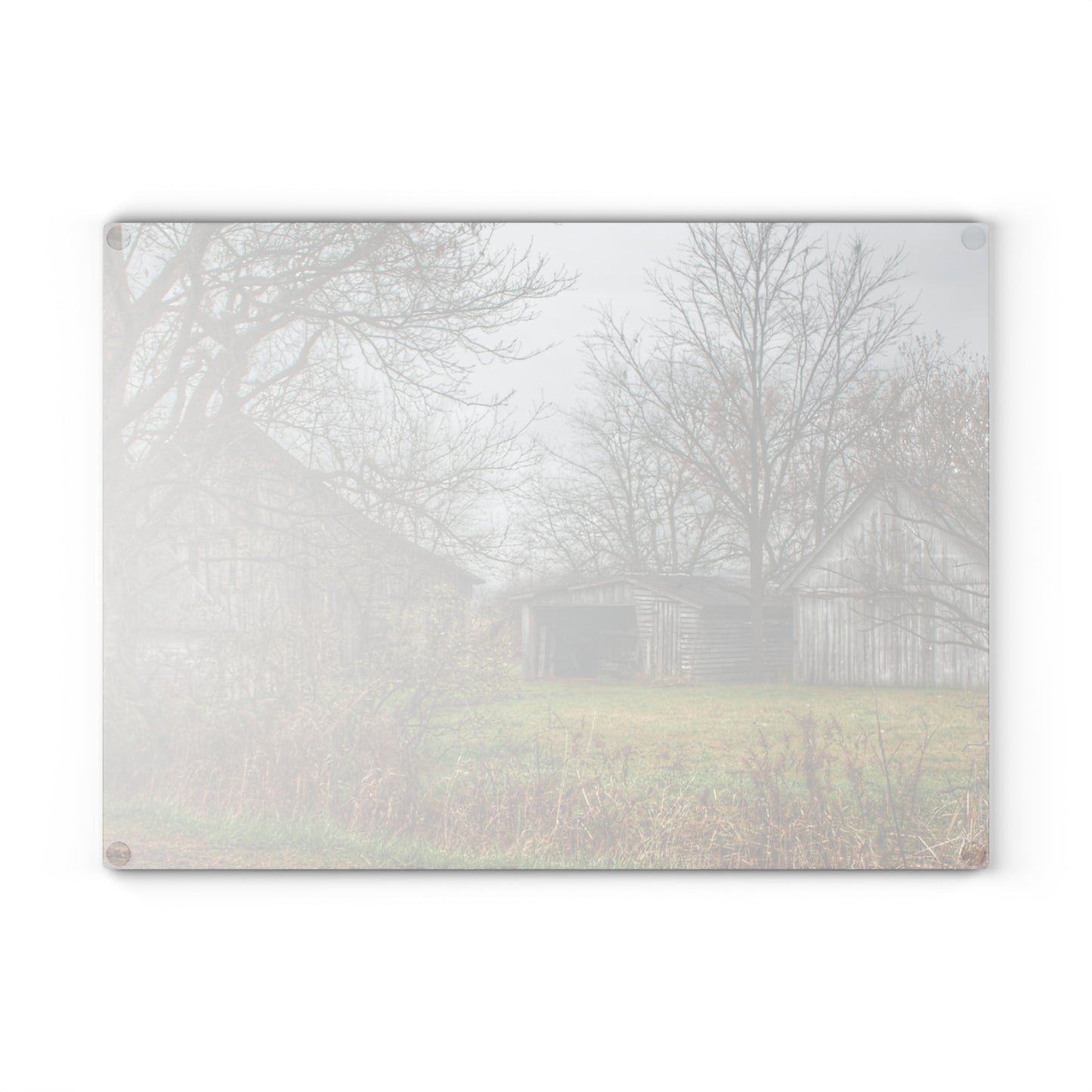 U R There Photography Bowers Road Greys IV Rustic Farmhouse Tempered-Glass Cutting Board